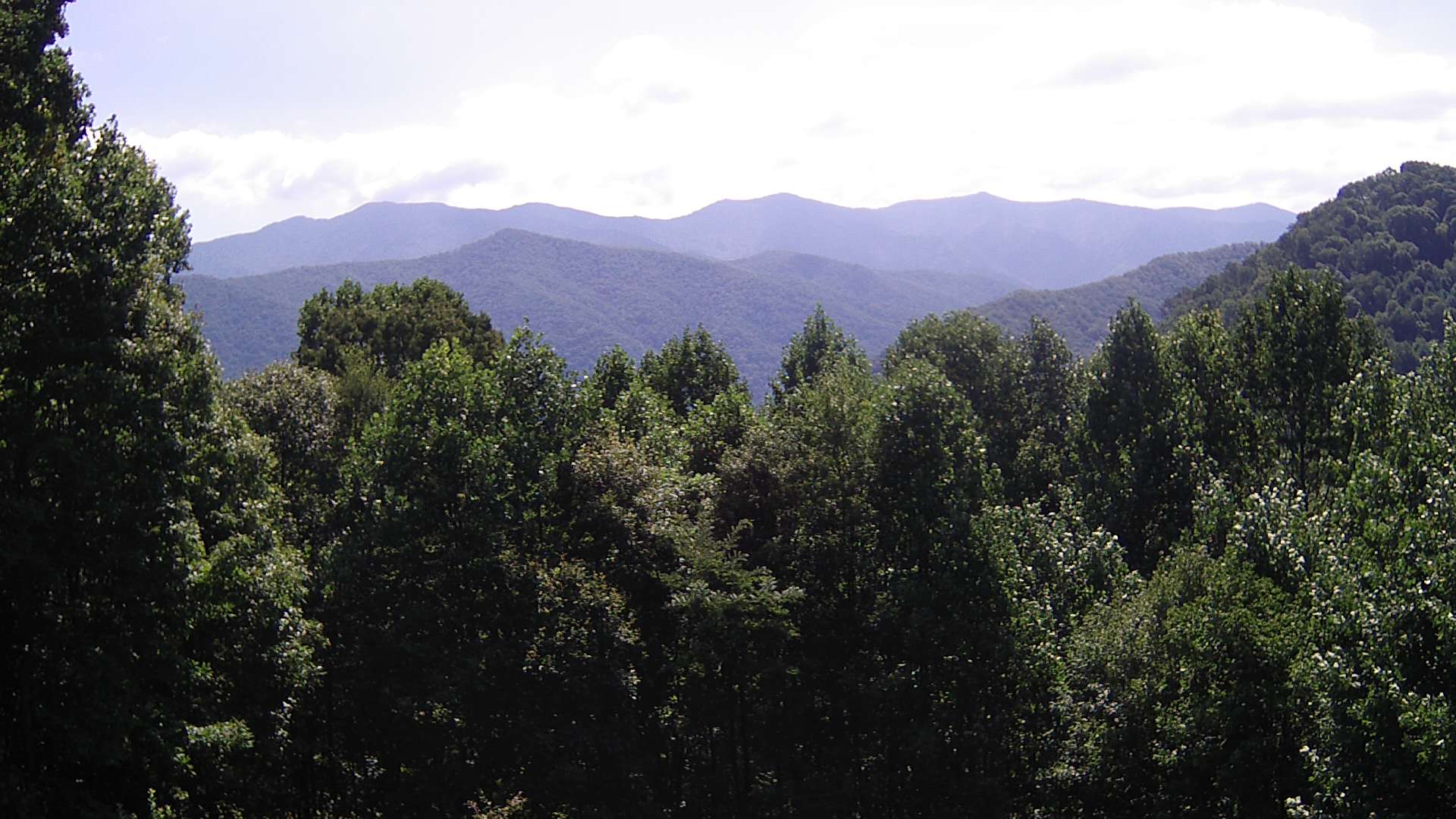 click for next image... slideshow image