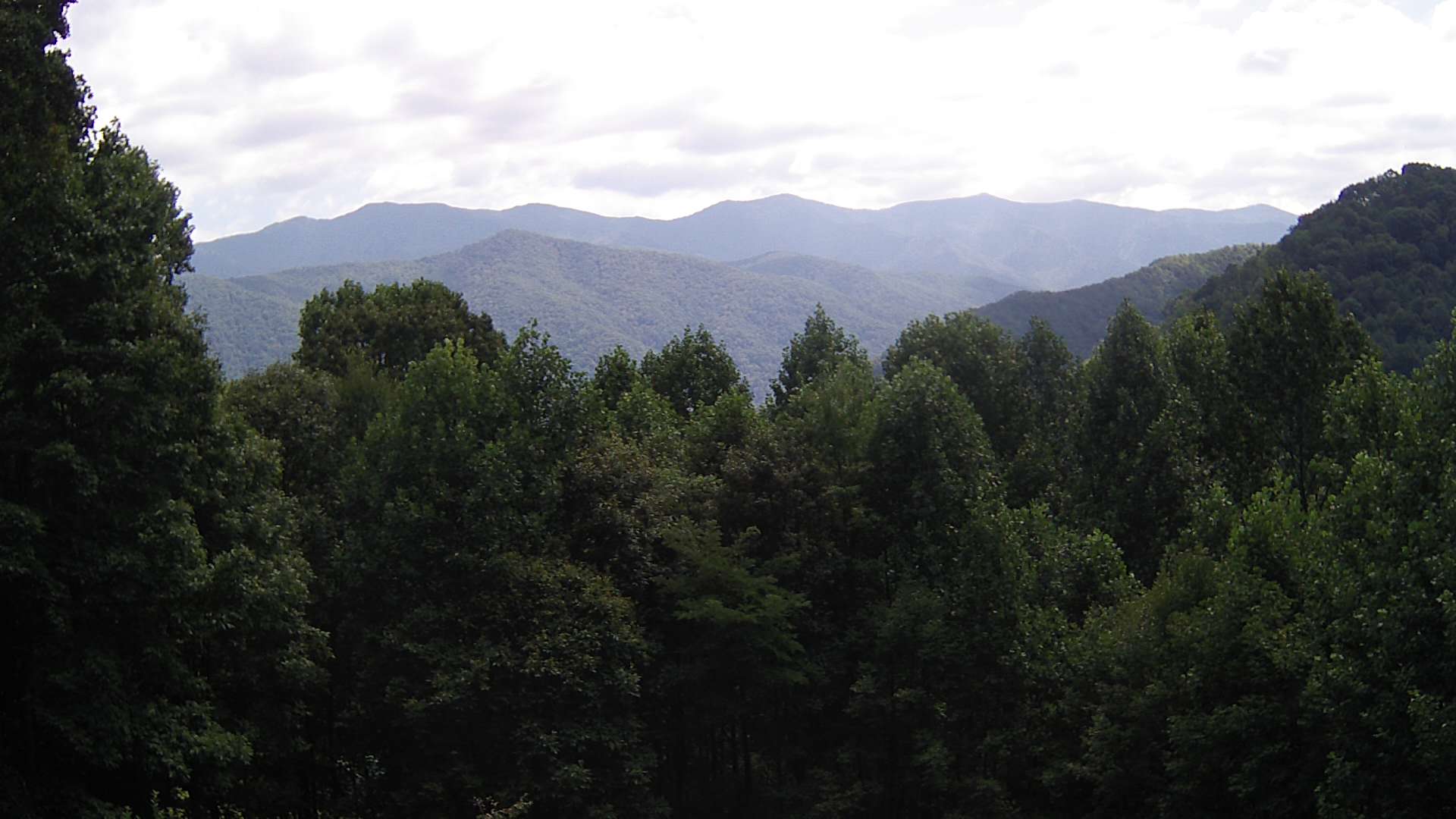 click for next image... slideshow image