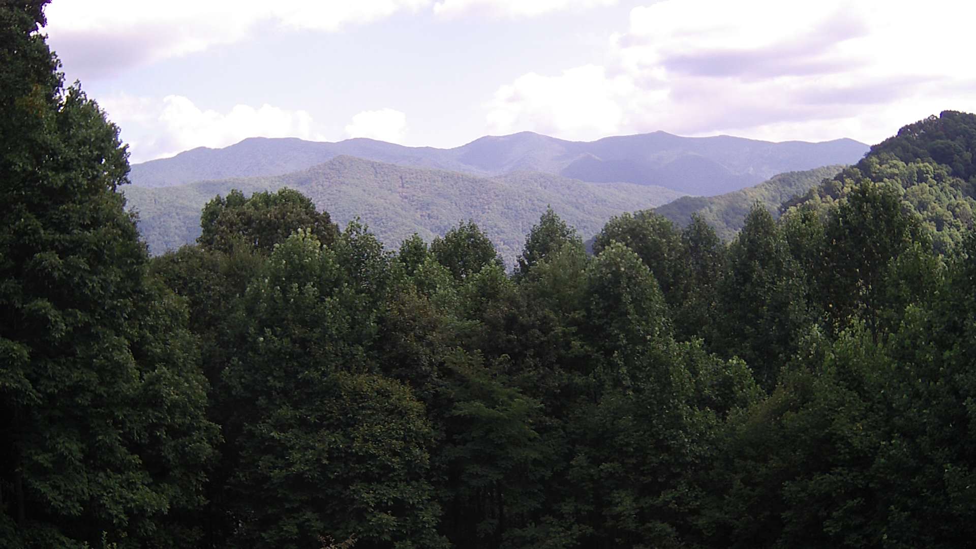 click for next image... slideshow image