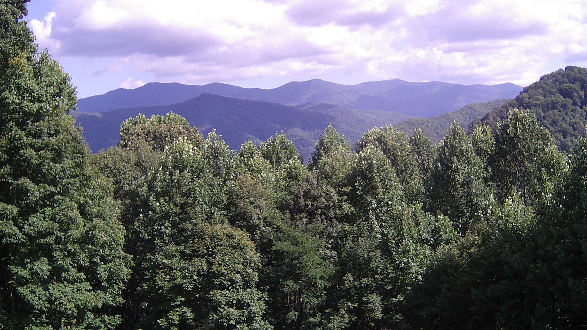 click for next image... slideshow image