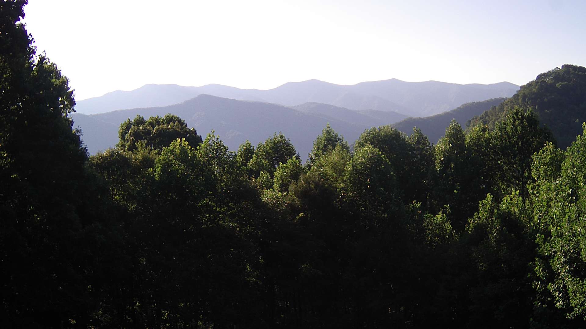 click for next image... slideshow image