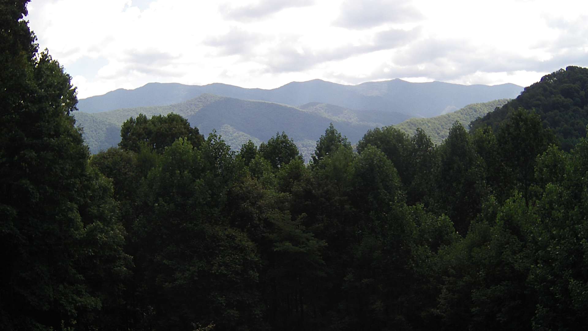 click for next image... slideshow image