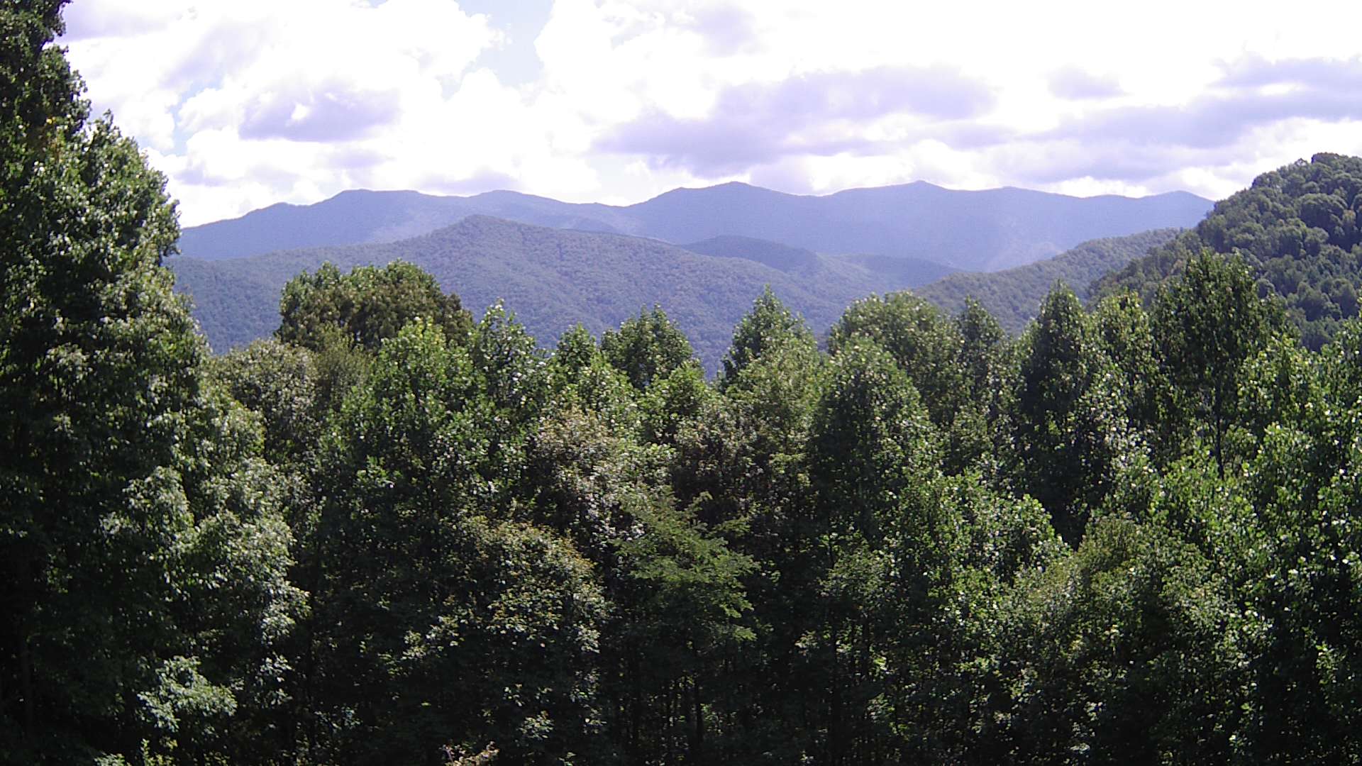 click for next image... slideshow image