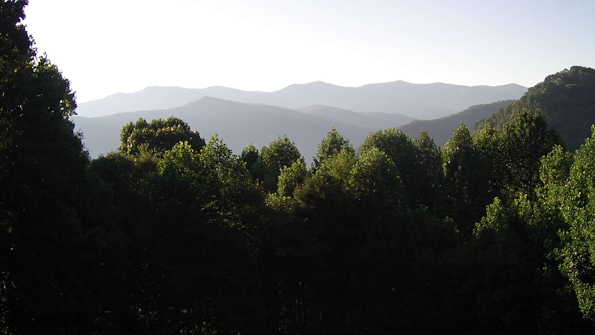 click for next image... slideshow image