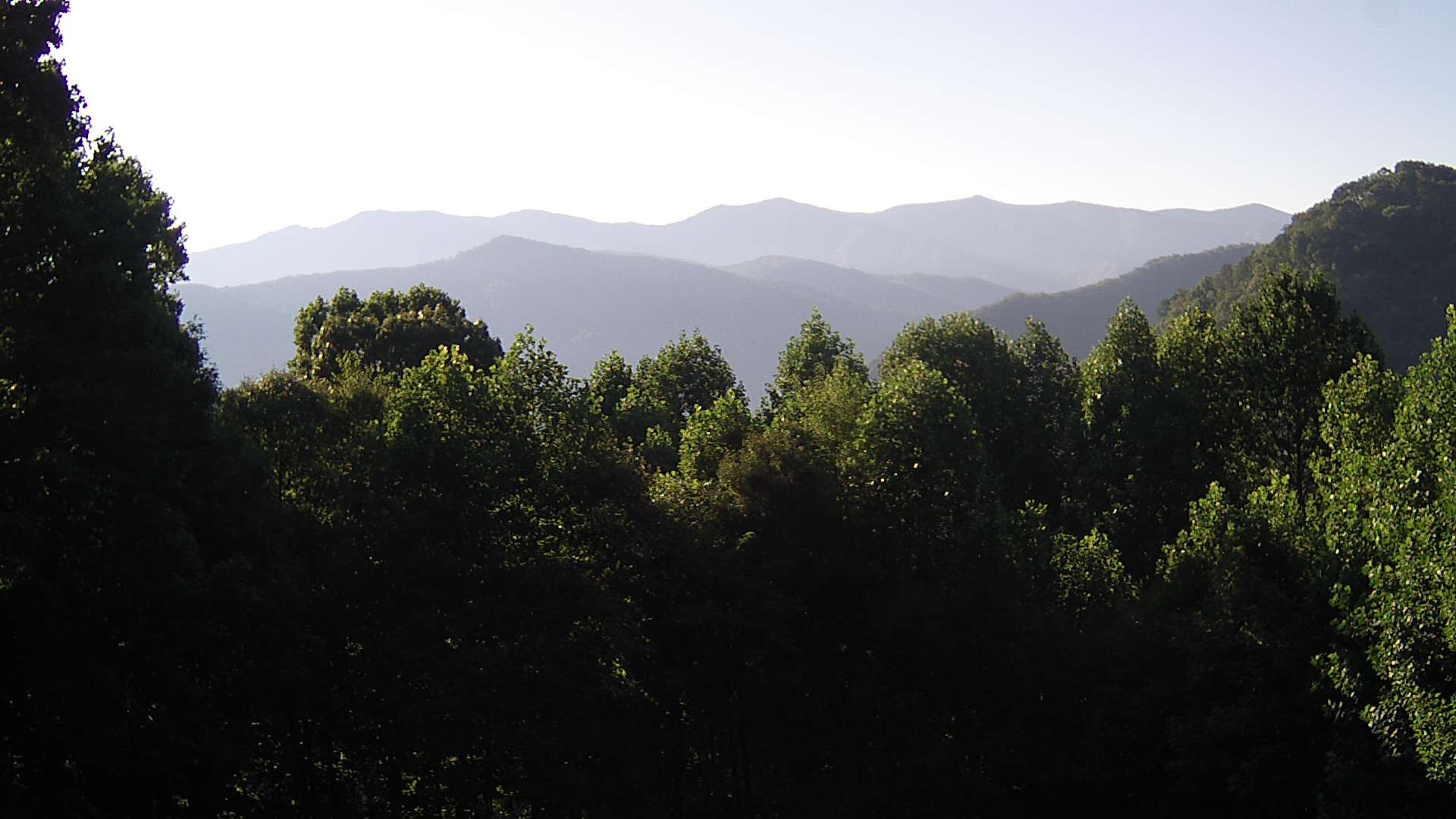 click for next image... slideshow image