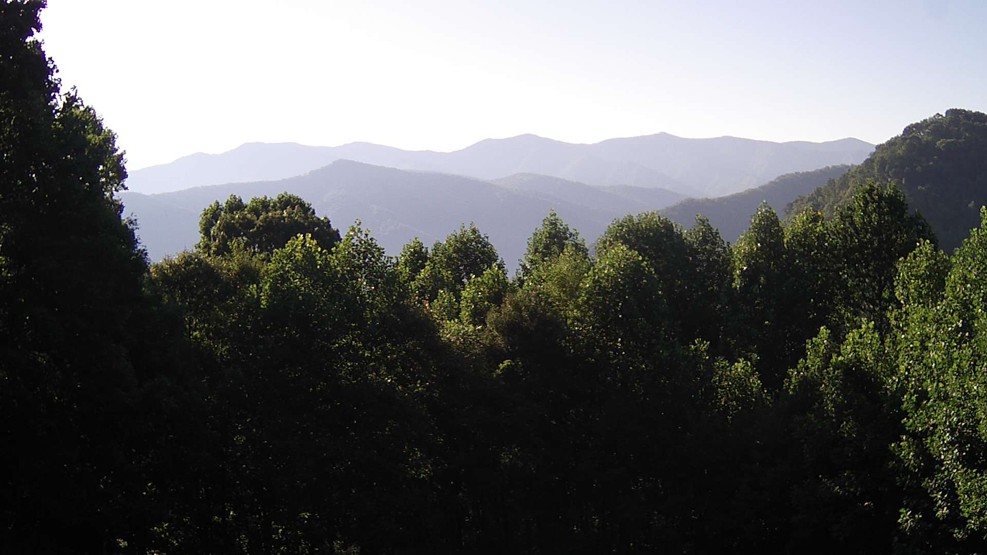 click for next image... slideshow image