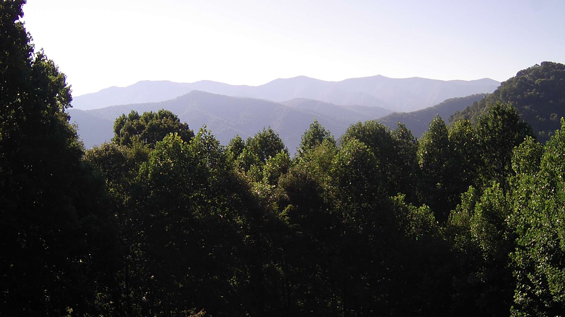 click for next image... slideshow image