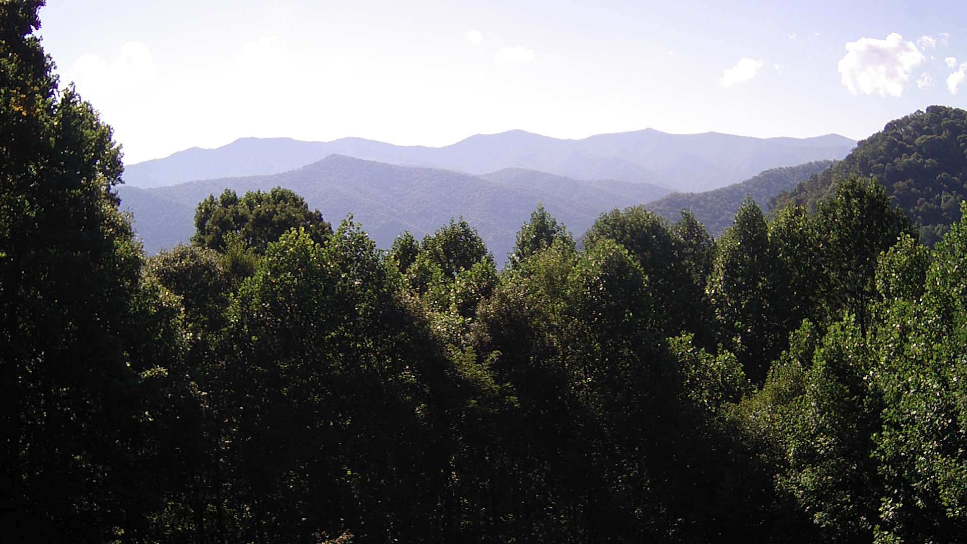 click for next image... slideshow image