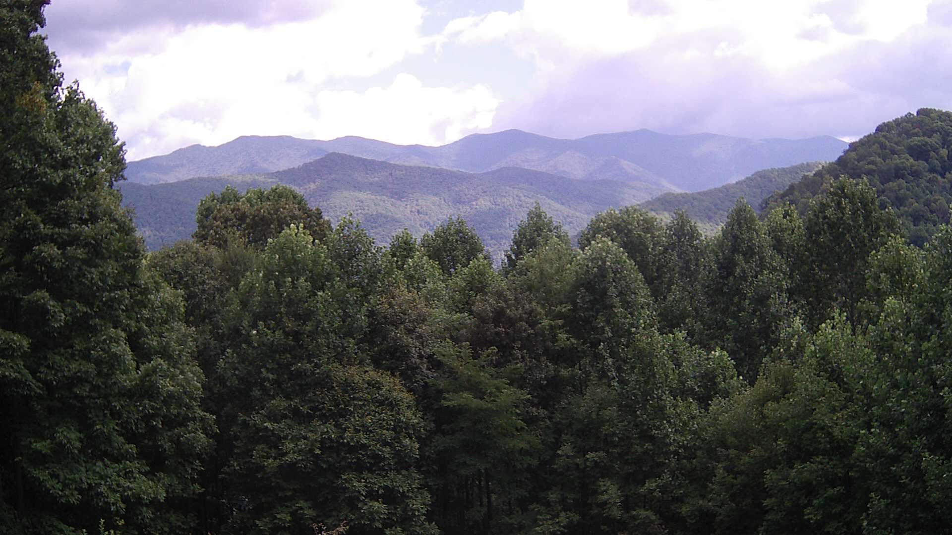click for next image... slideshow image