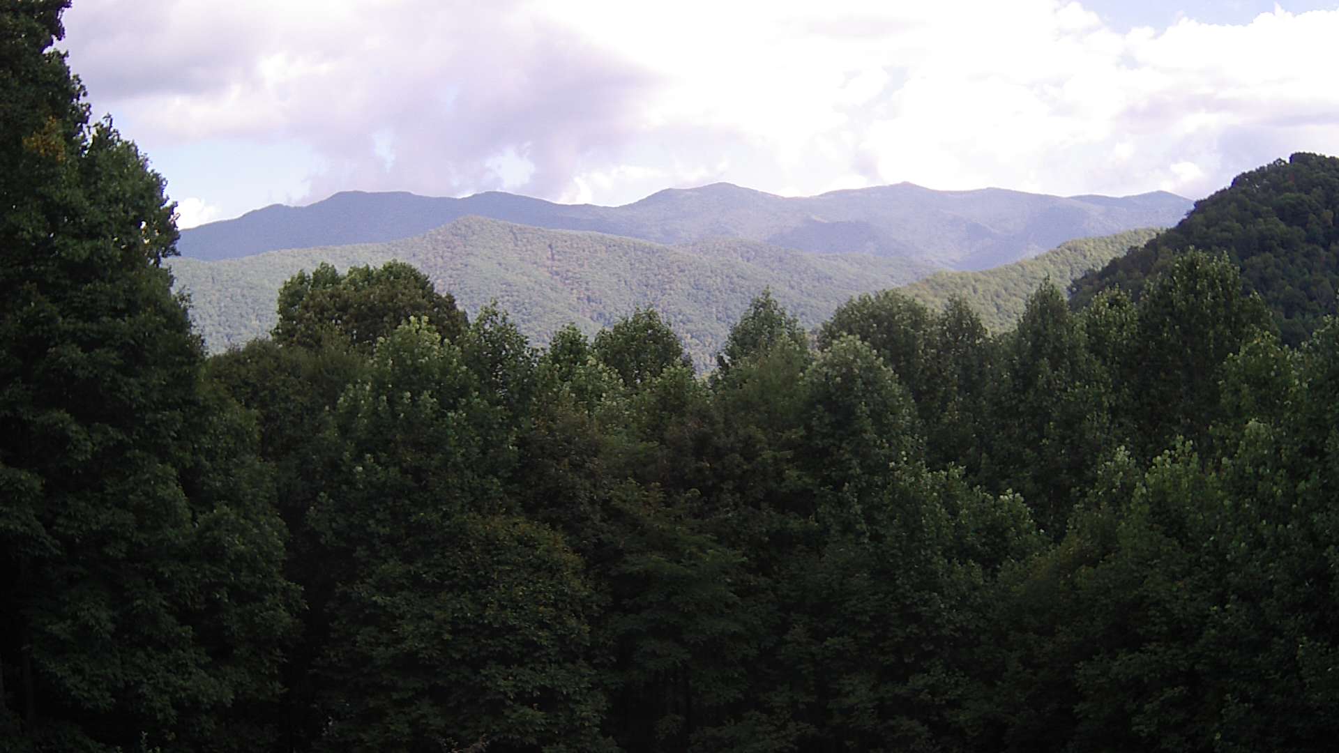 click for next image... slideshow image