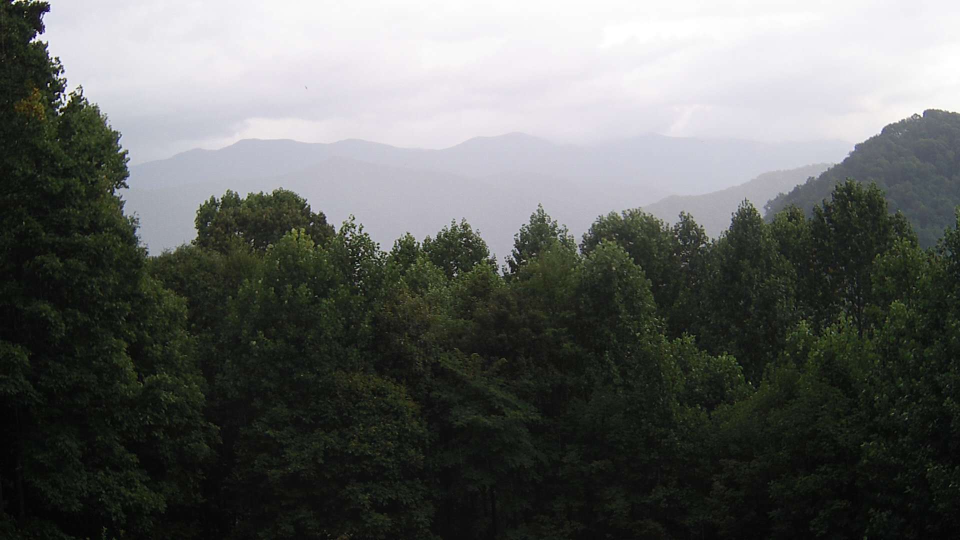 click for next image... slideshow image