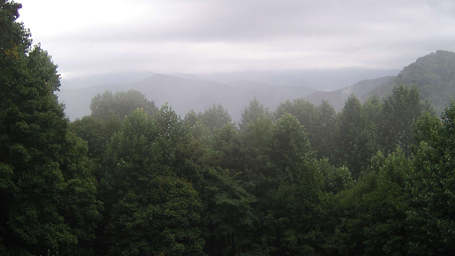 click for next image... slideshow image