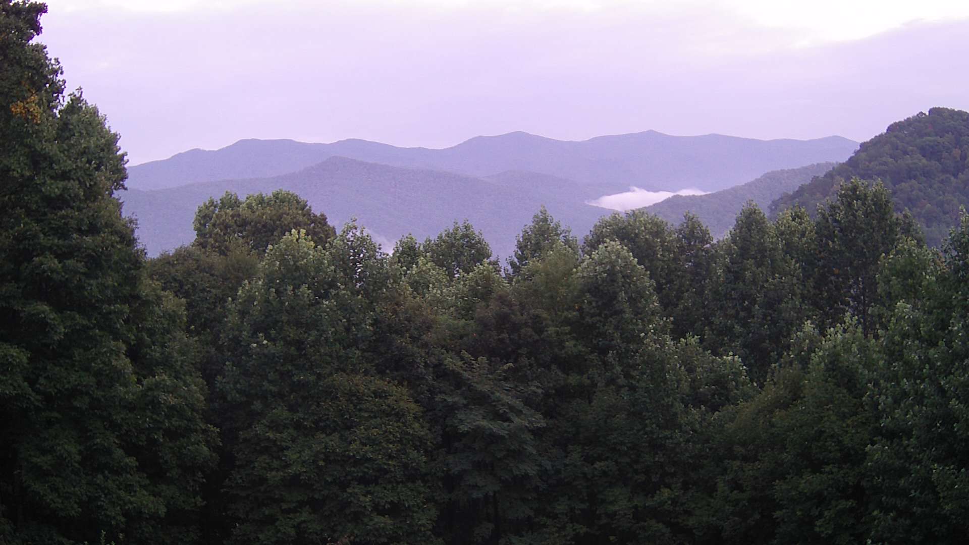 click for next image... slideshow image