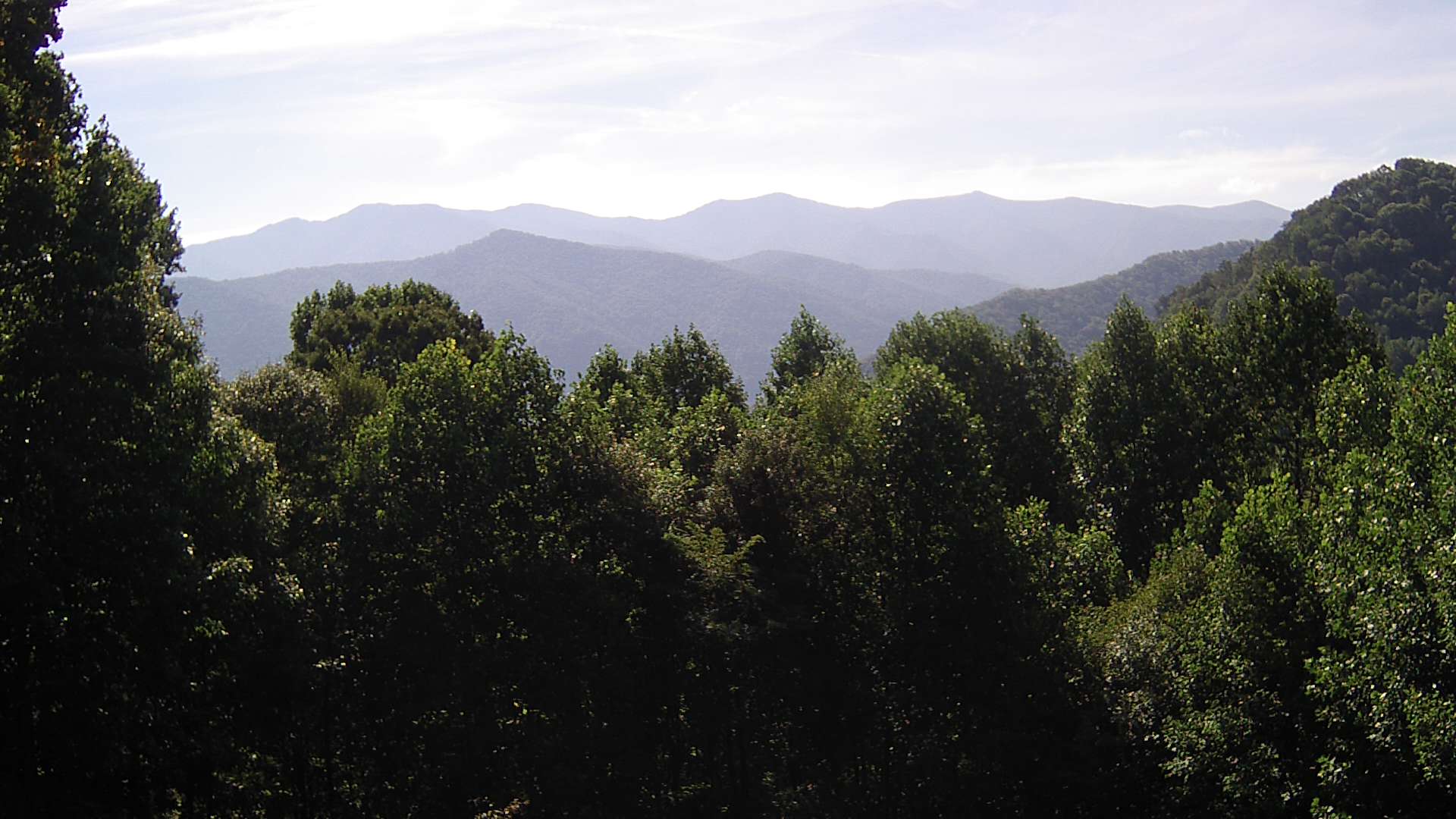 click for next image... slideshow image