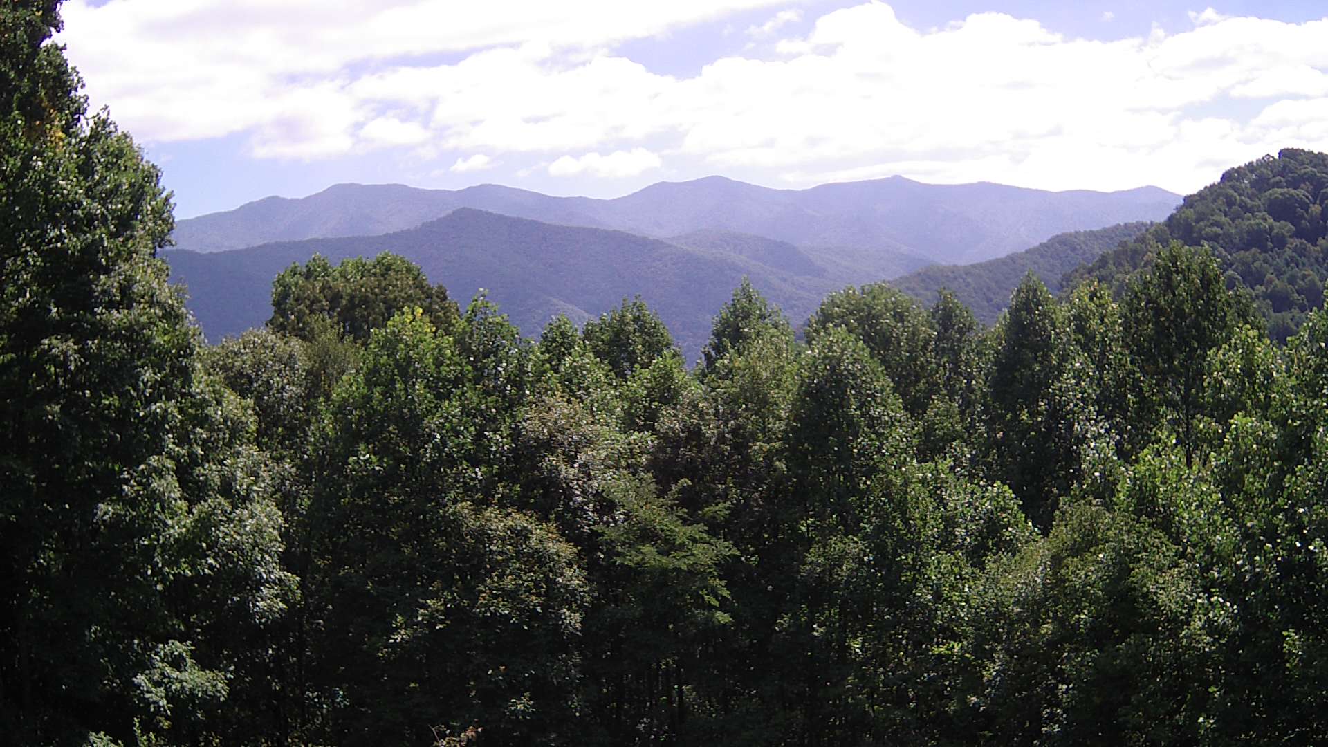 click for next image... slideshow image