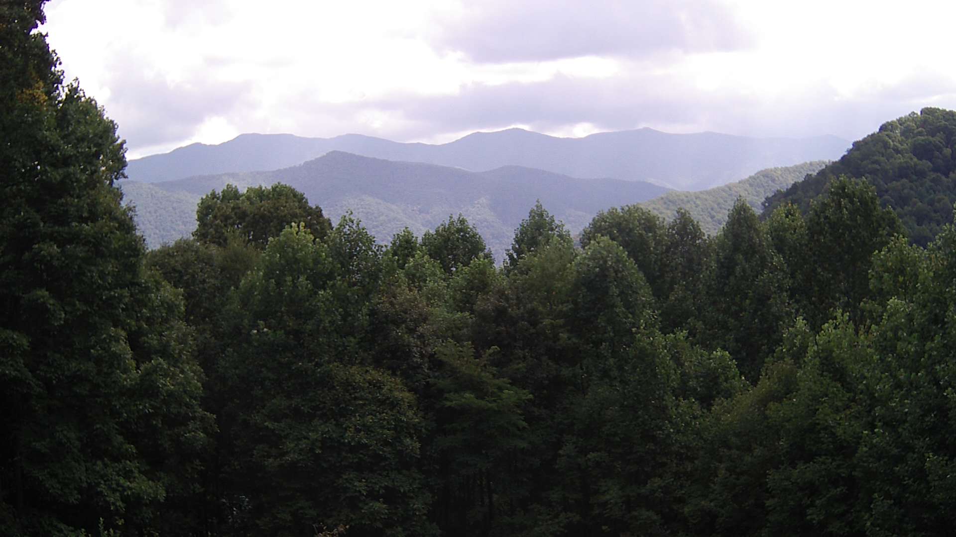 click for next image... slideshow image