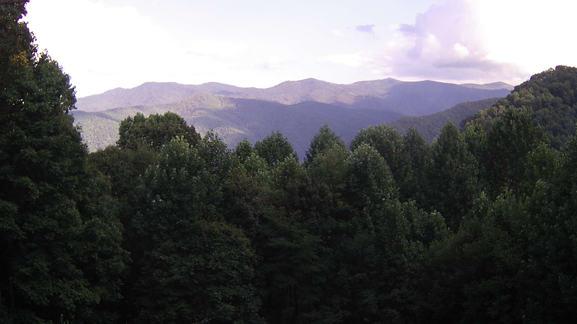 click for next image... slideshow image