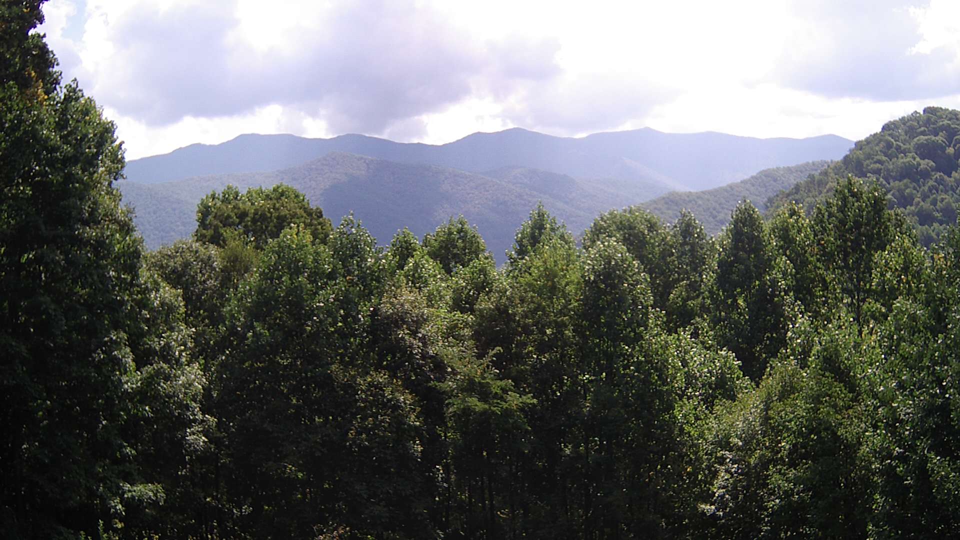 click for next image... slideshow image