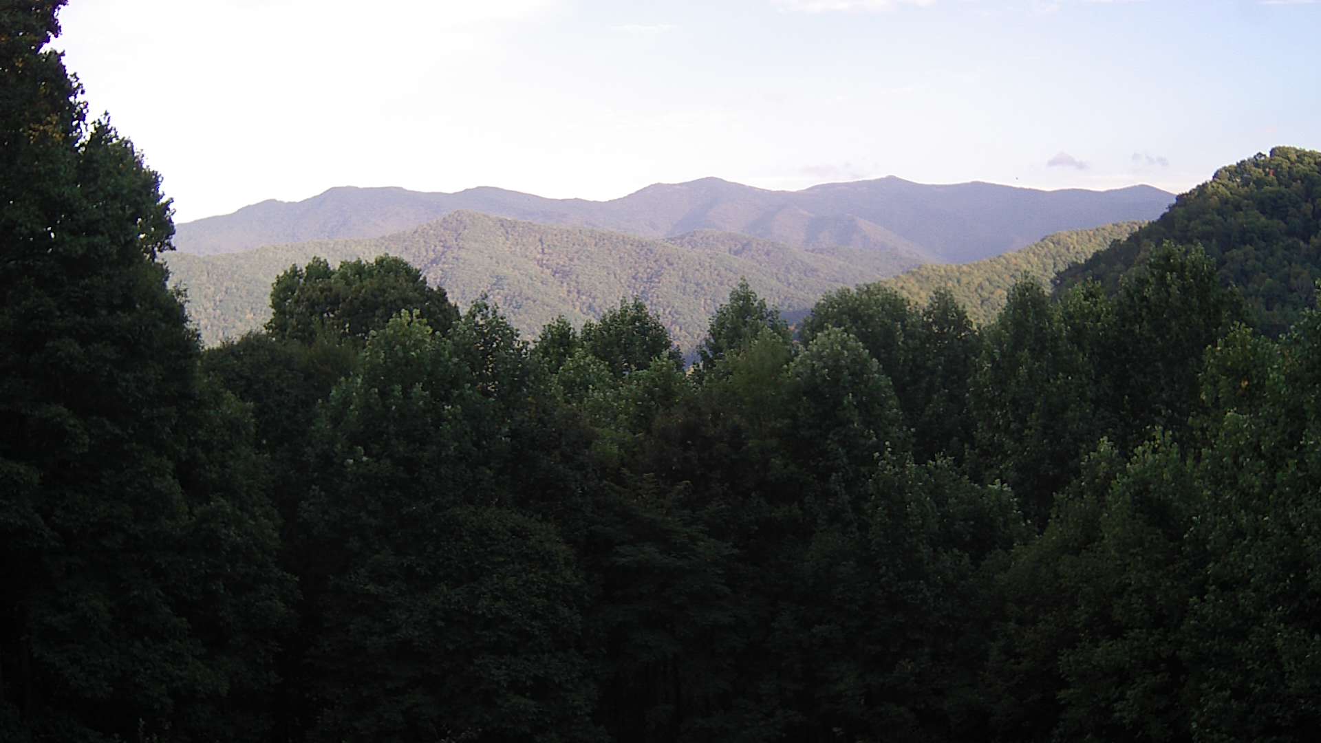 click for next image... slideshow image