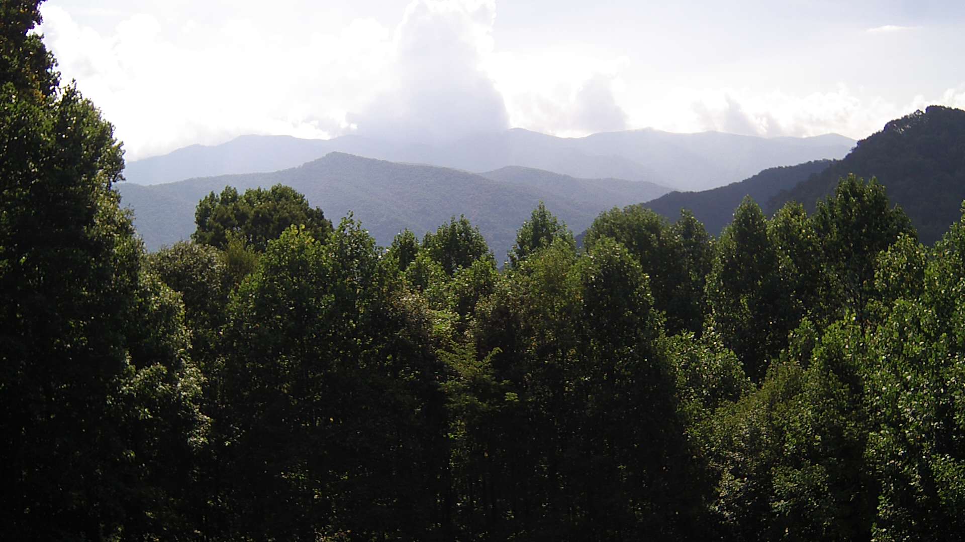 click for next image... slideshow image