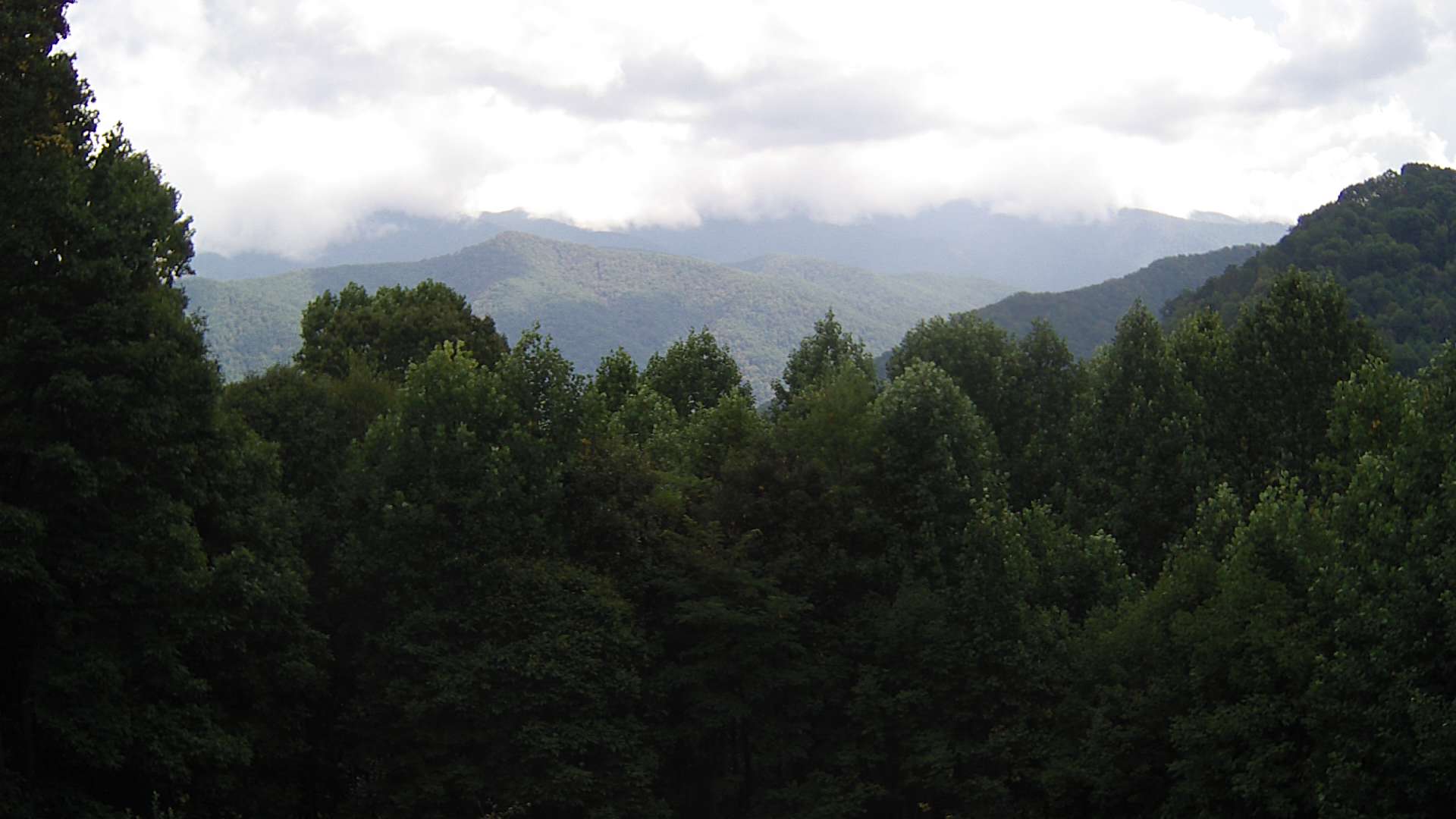 click for next image... slideshow image