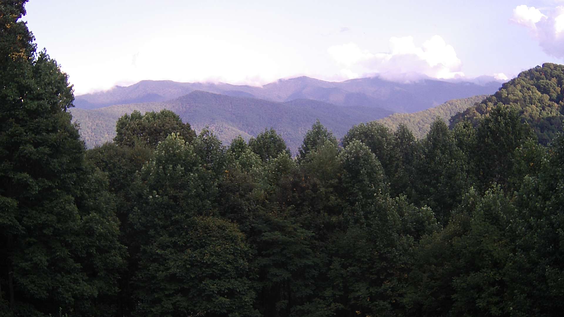 click for next image... slideshow image