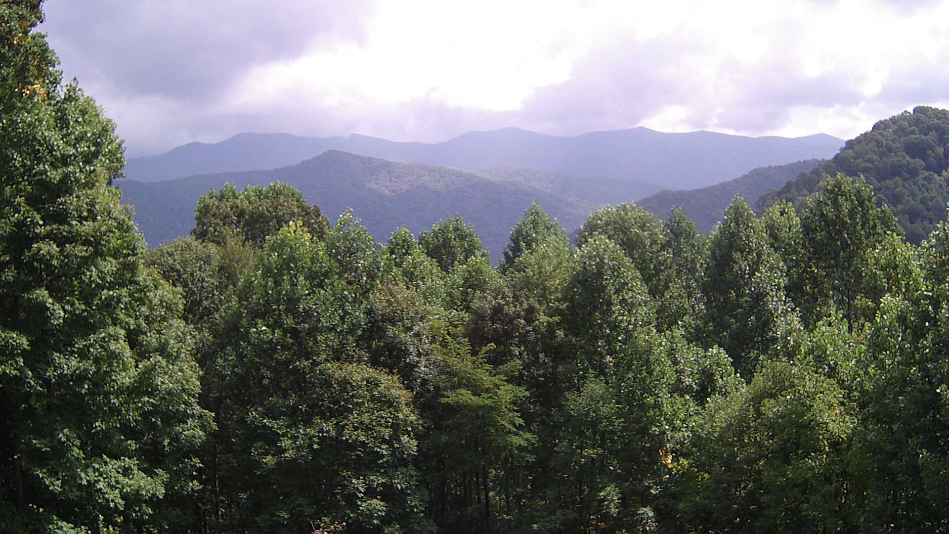 click for next image... slideshow image