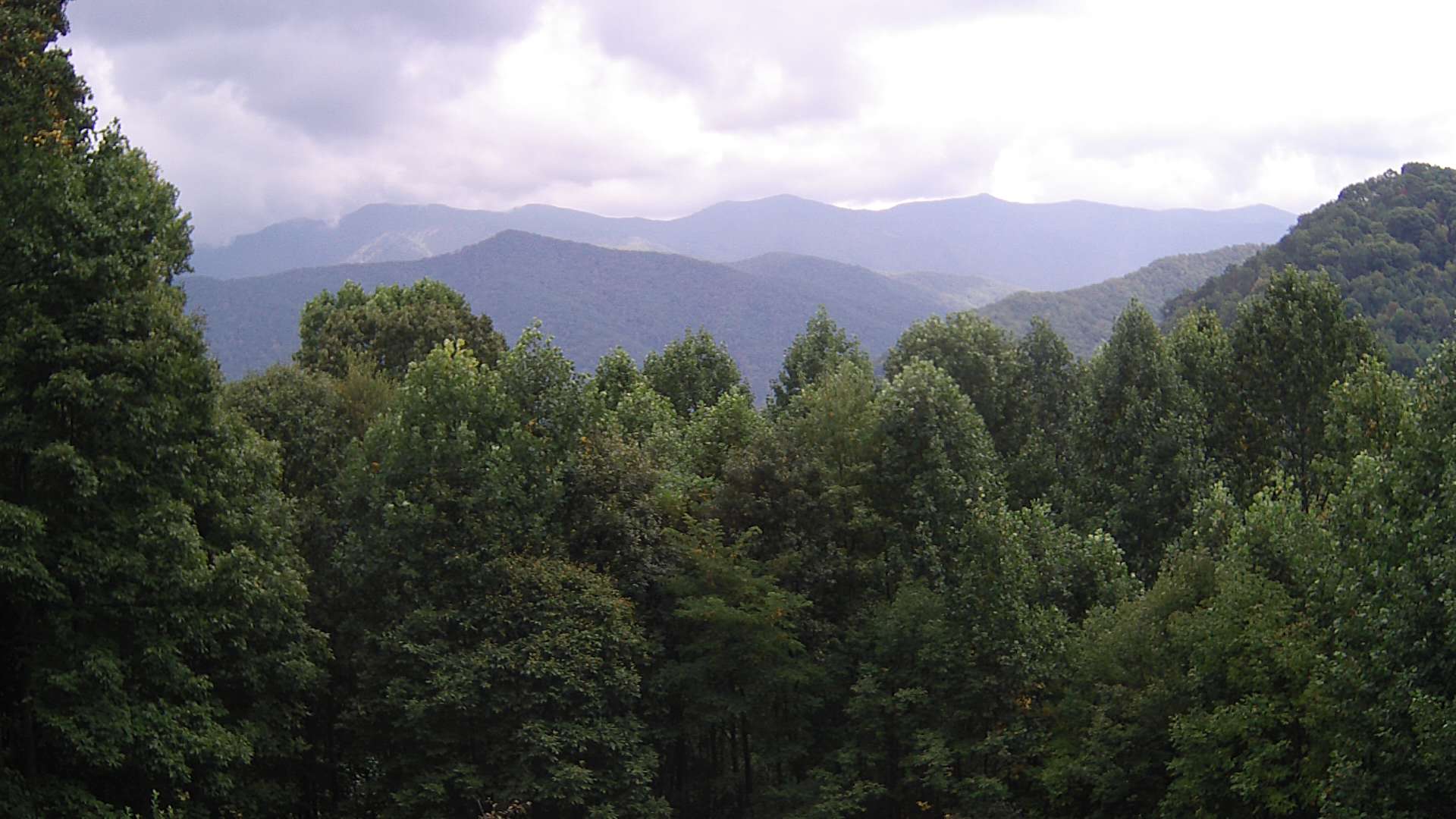 click for next image... slideshow image