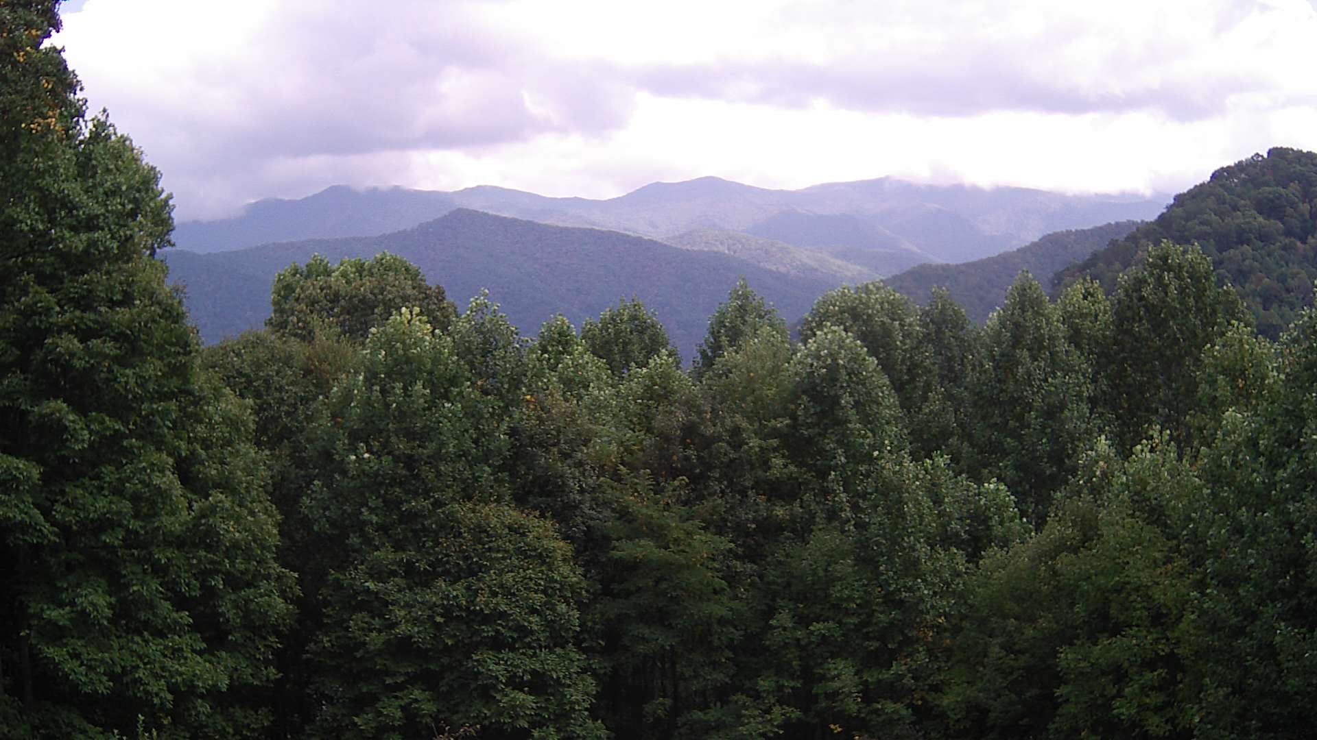 click for next image... slideshow image