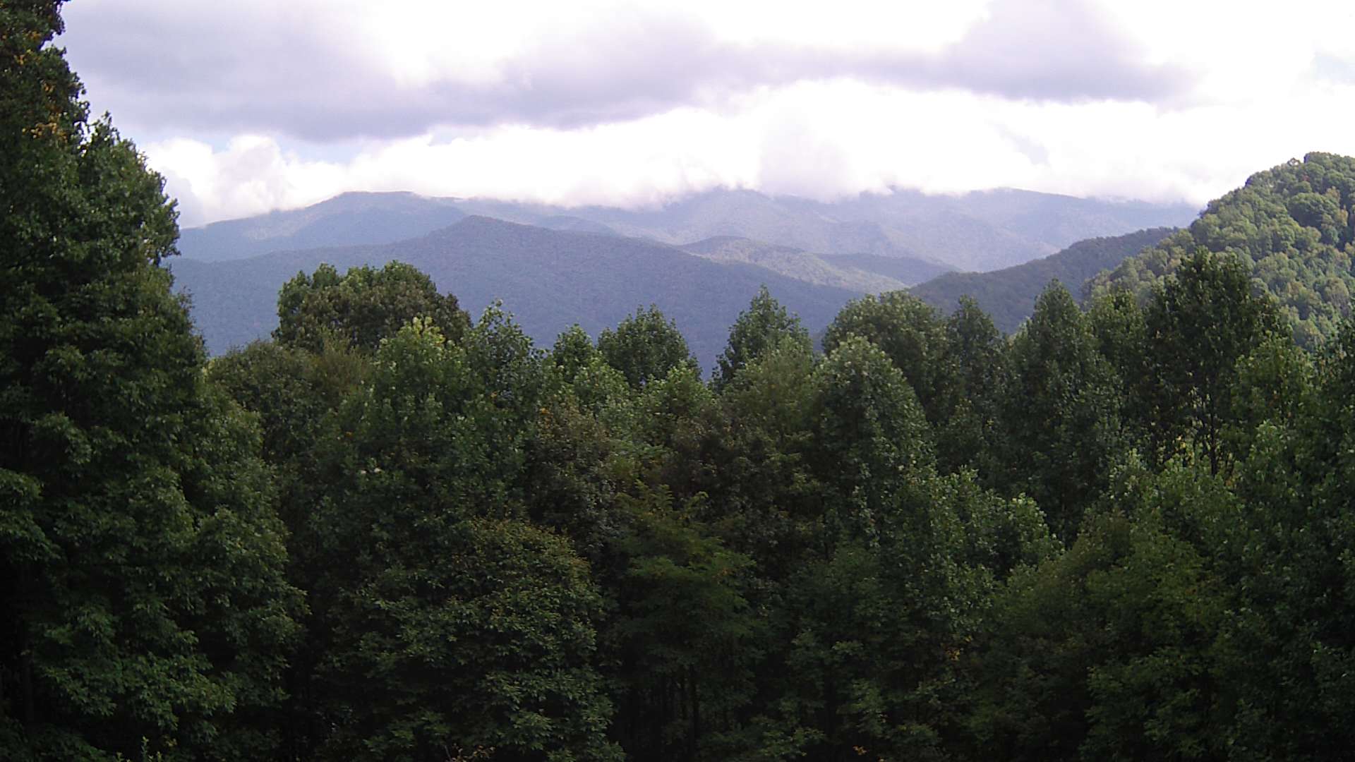 click for next image... slideshow image