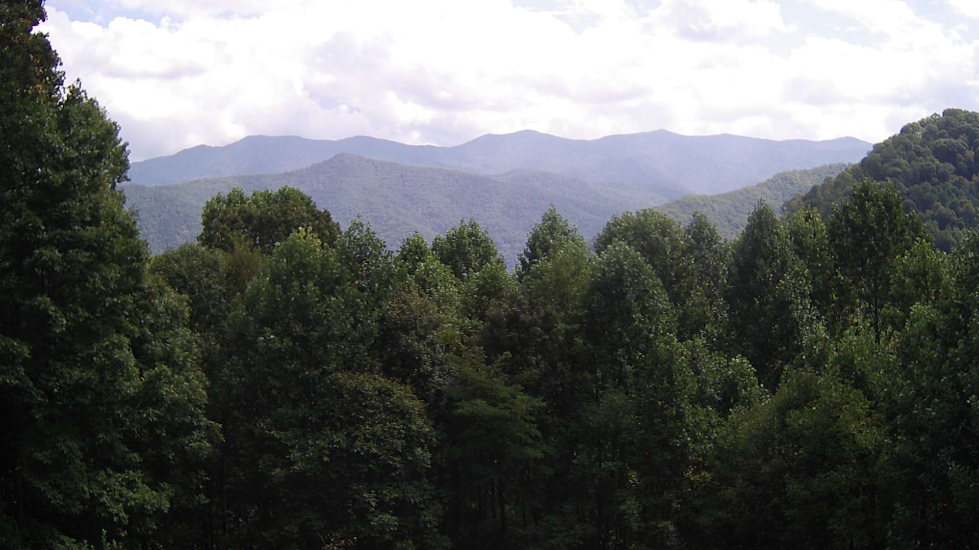 click for next image... slideshow image