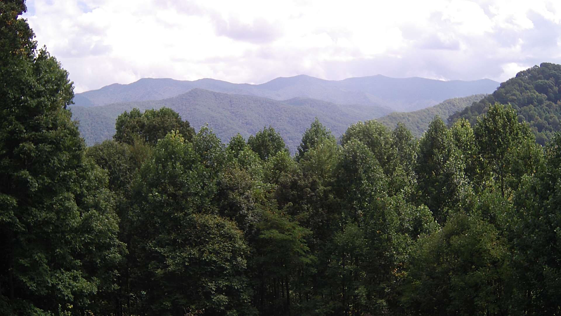 click for next image... slideshow image