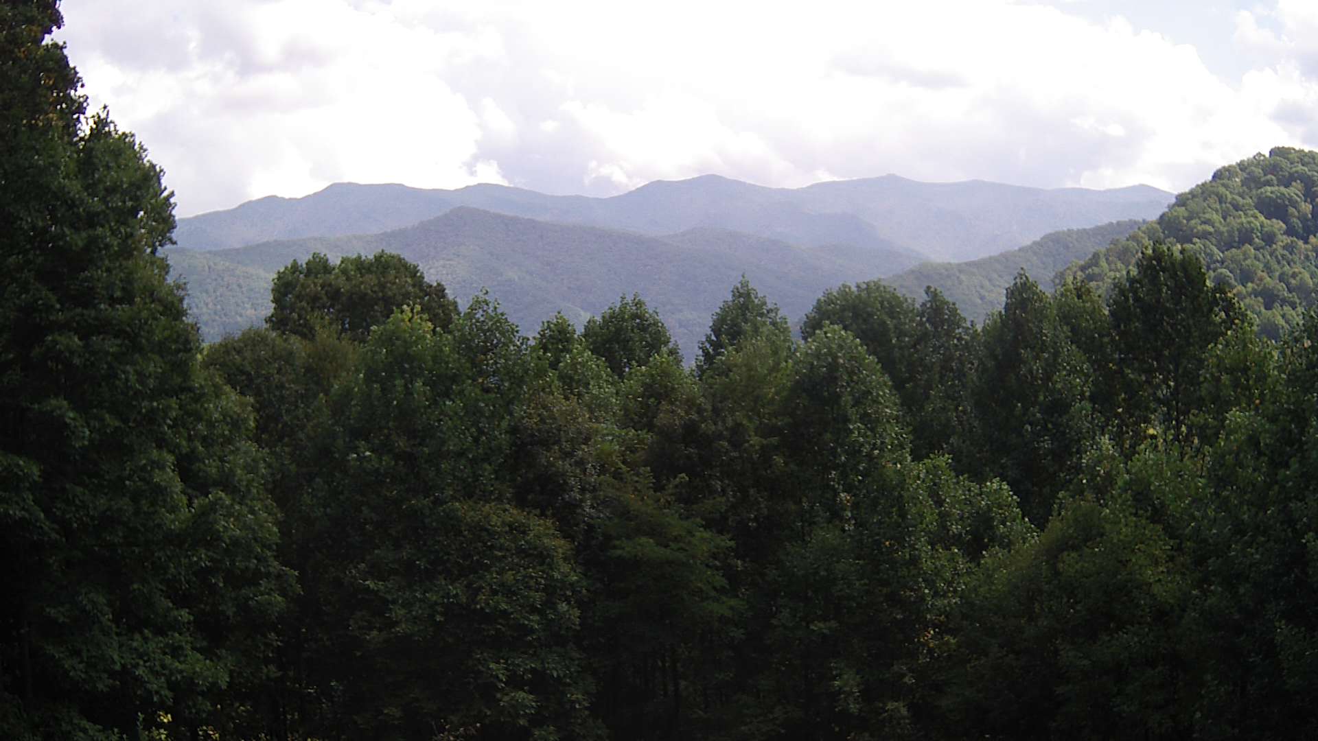 click for next image... slideshow image