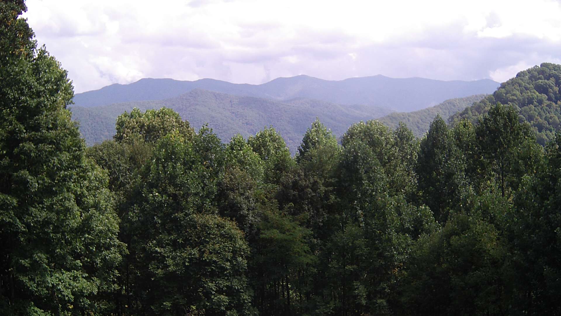 click for next image... slideshow image