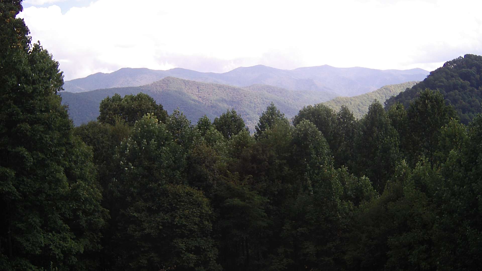 click for next image... slideshow image