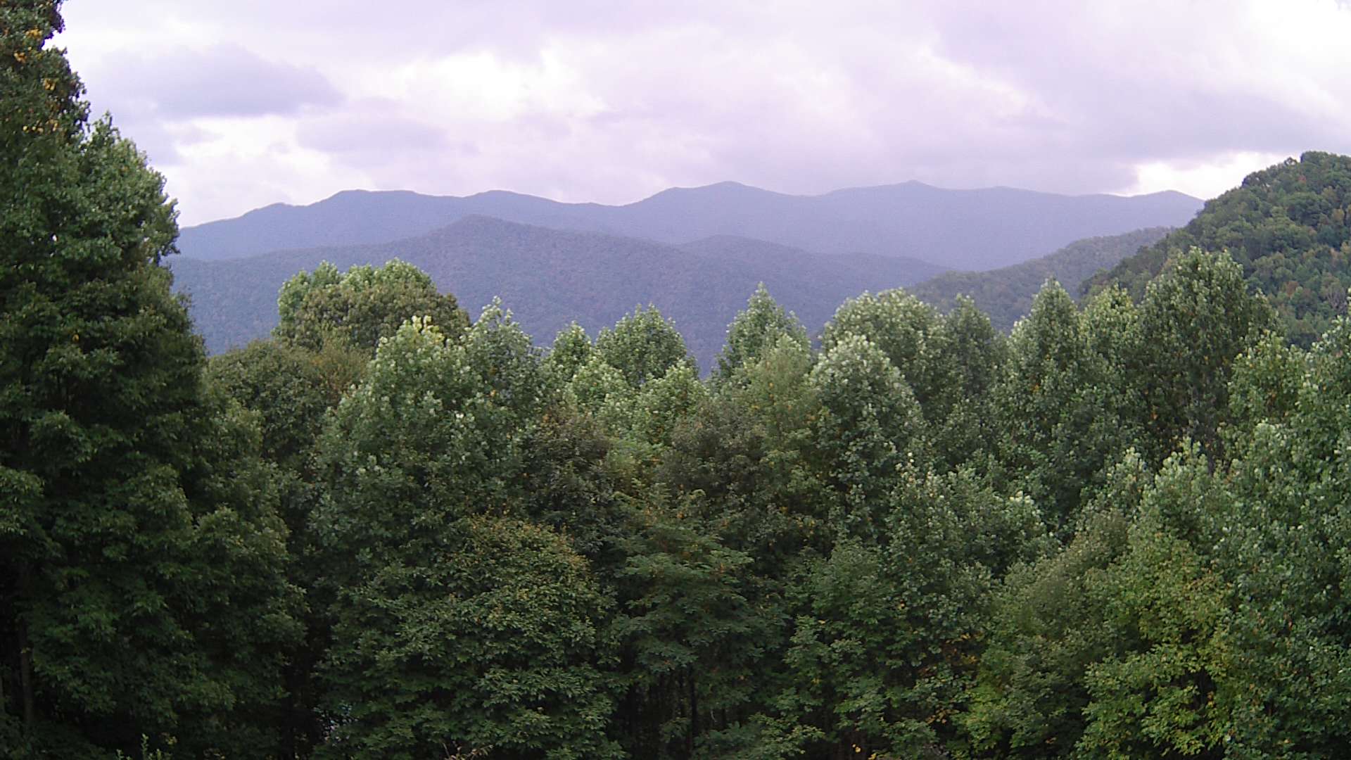 click for next image... slideshow image