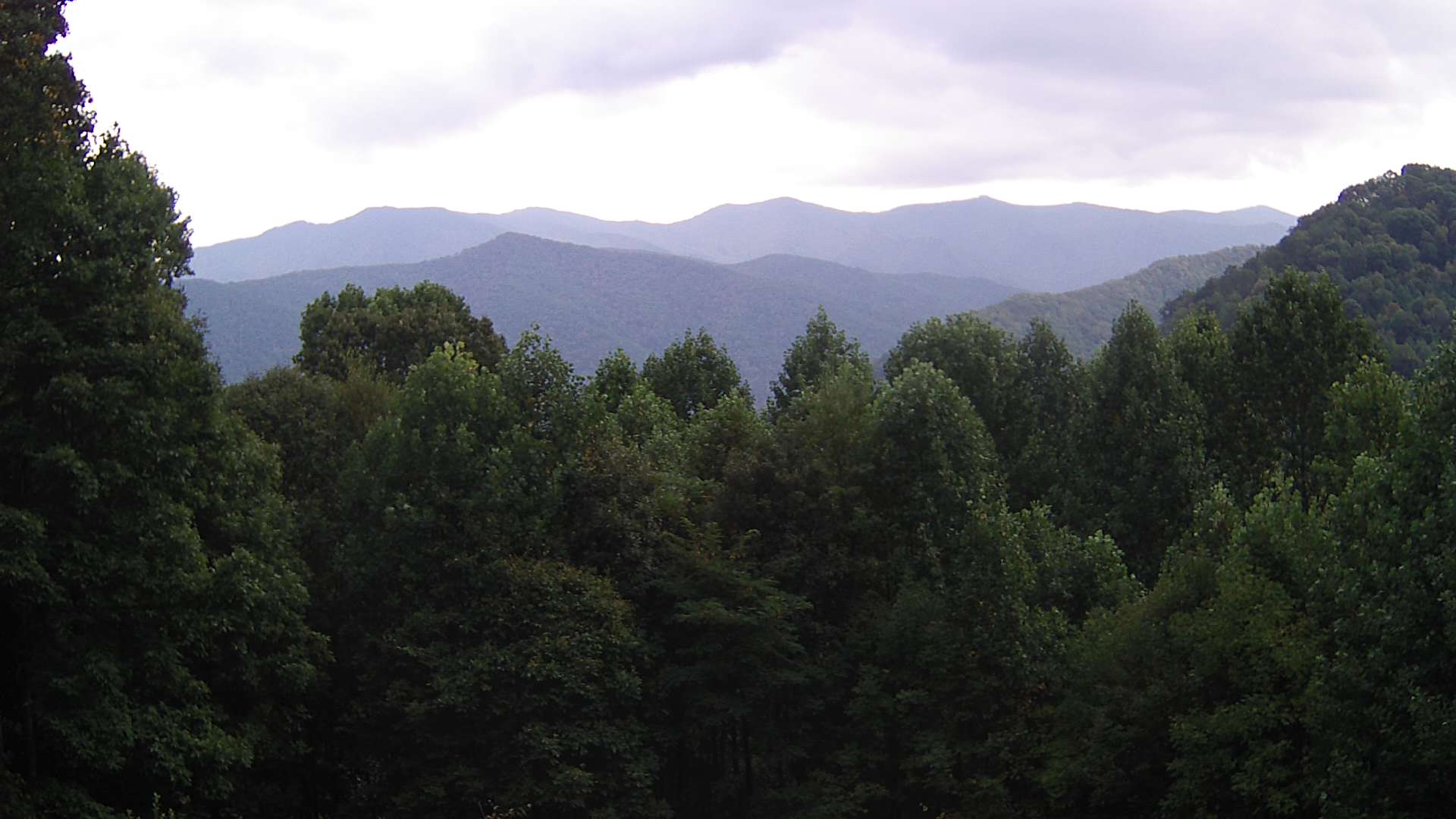 click for next image... slideshow image