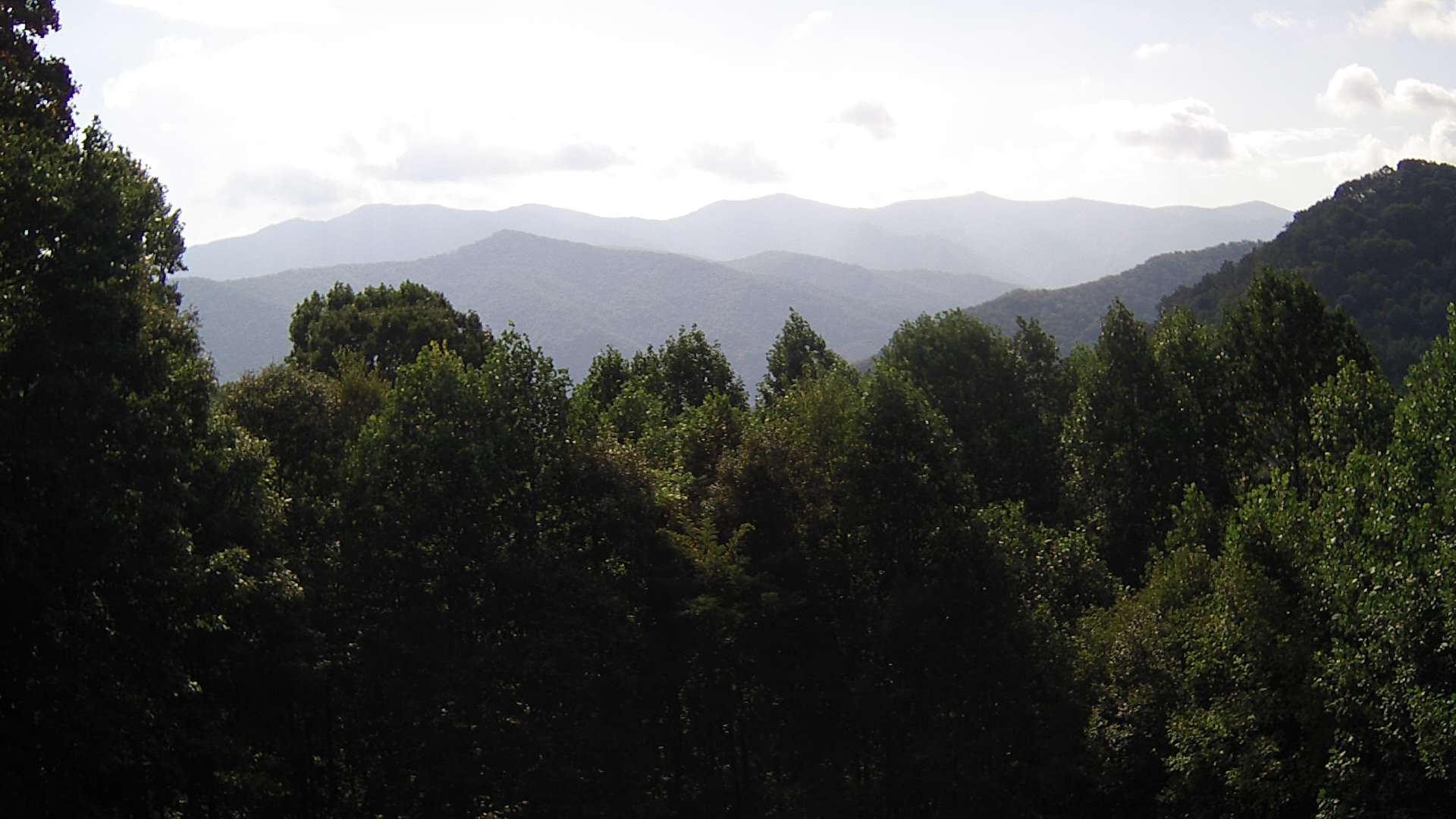 click for next image... slideshow image