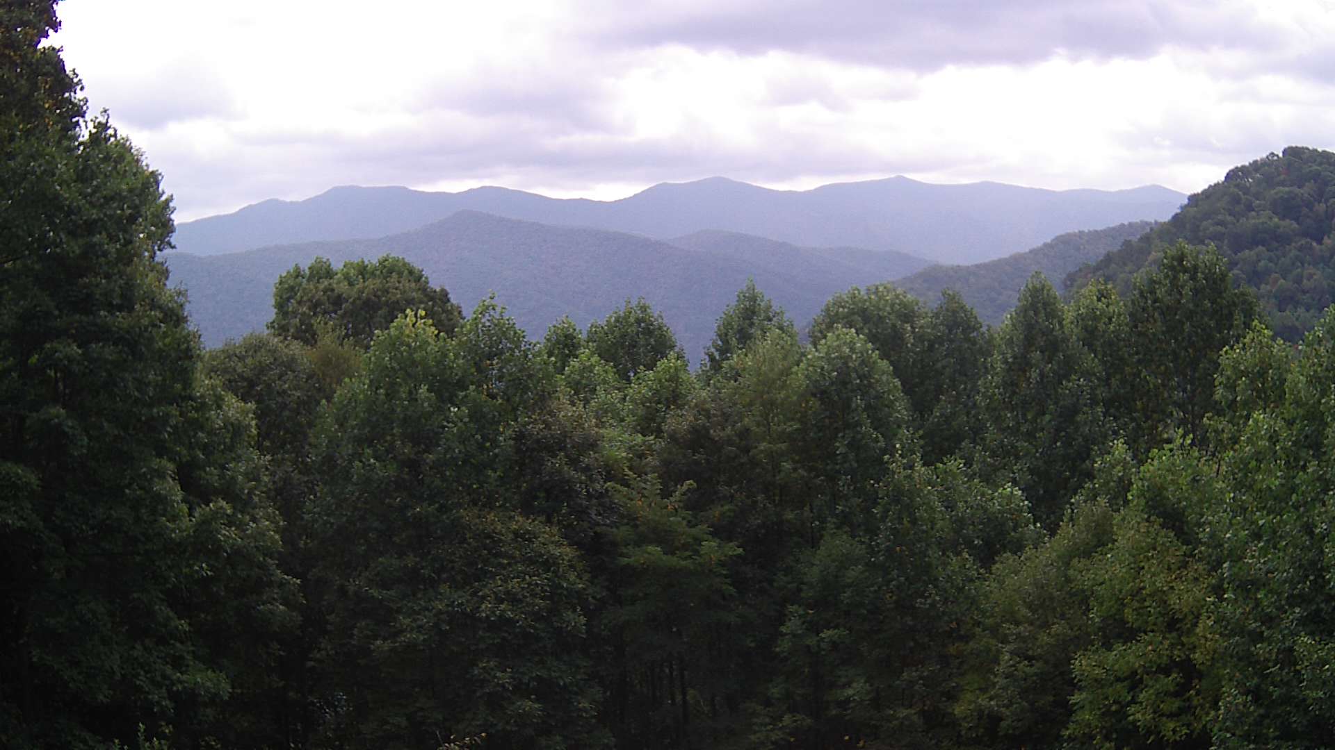 click for next image... slideshow image