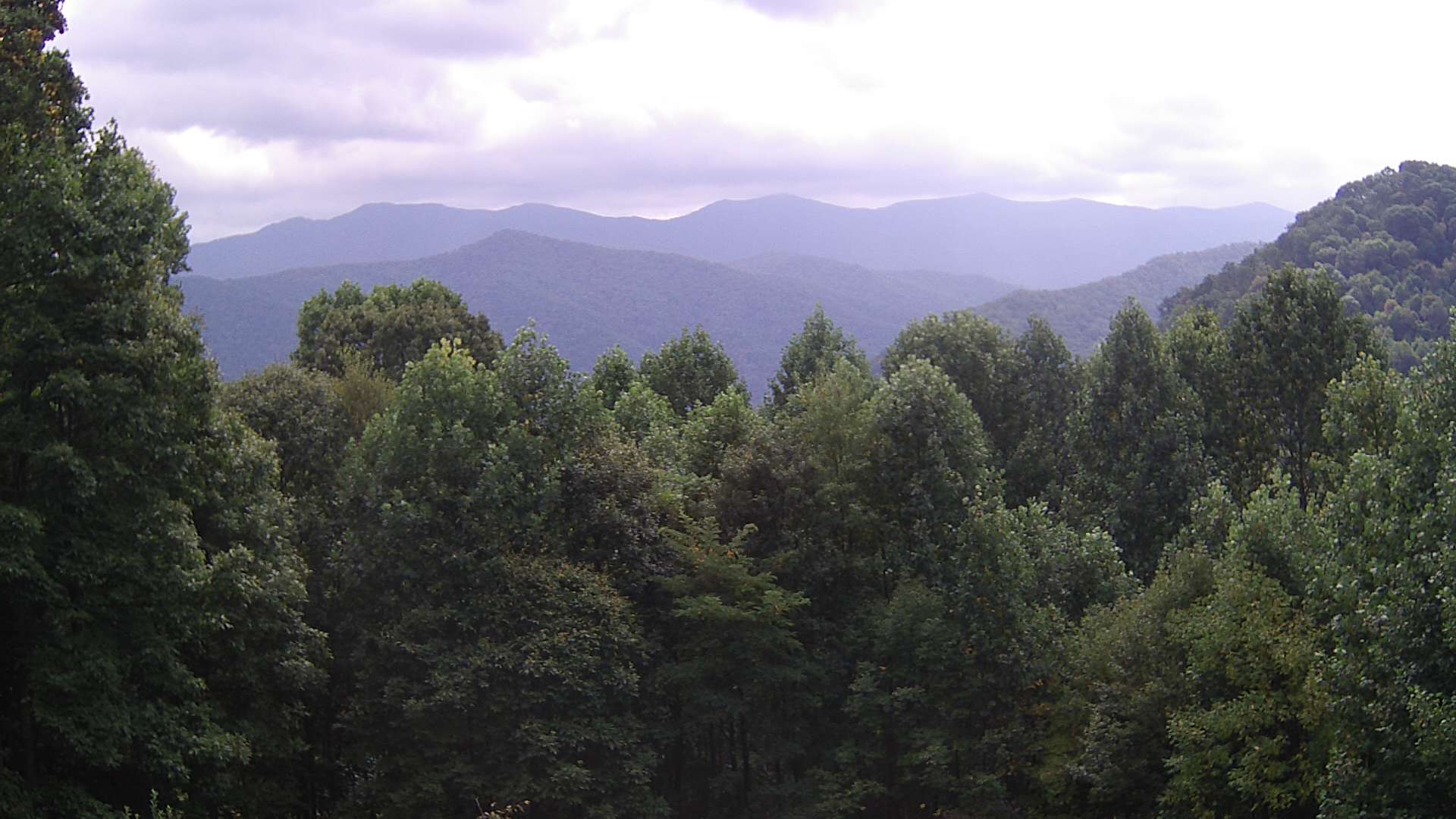 click for next image... slideshow image