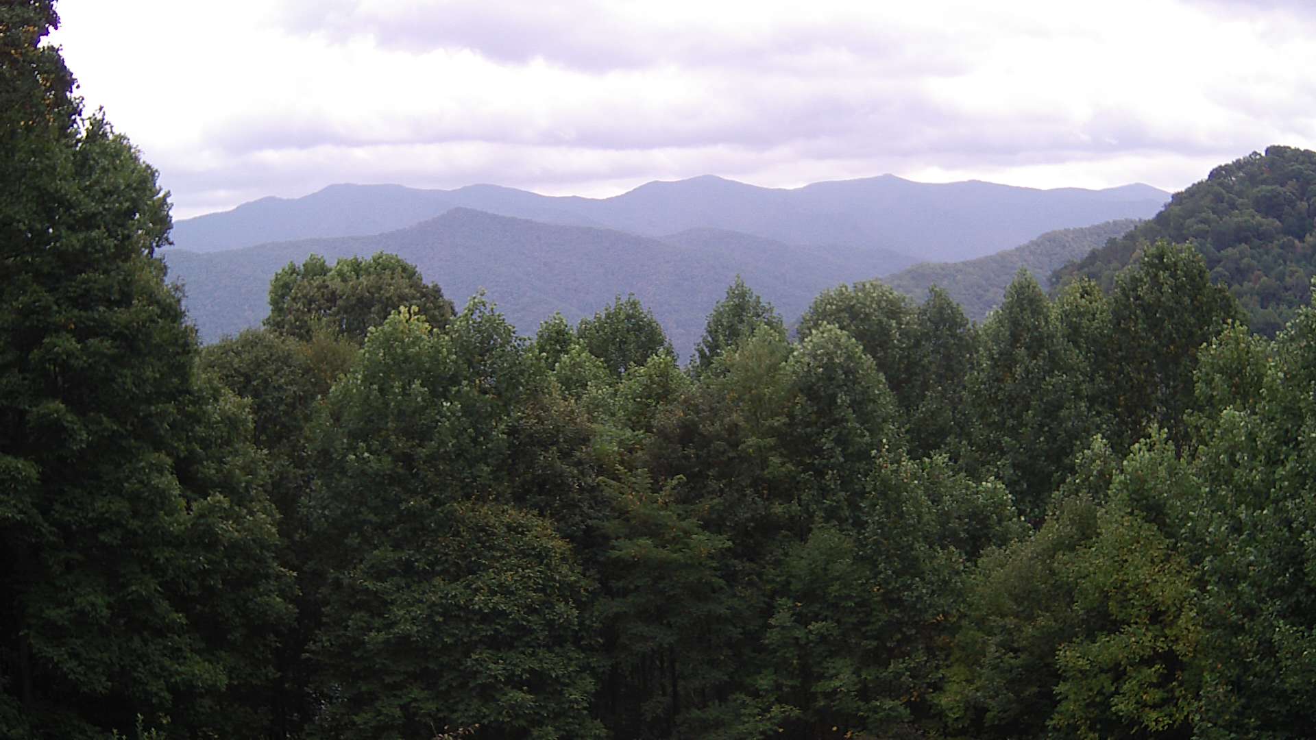 click for next image... slideshow image