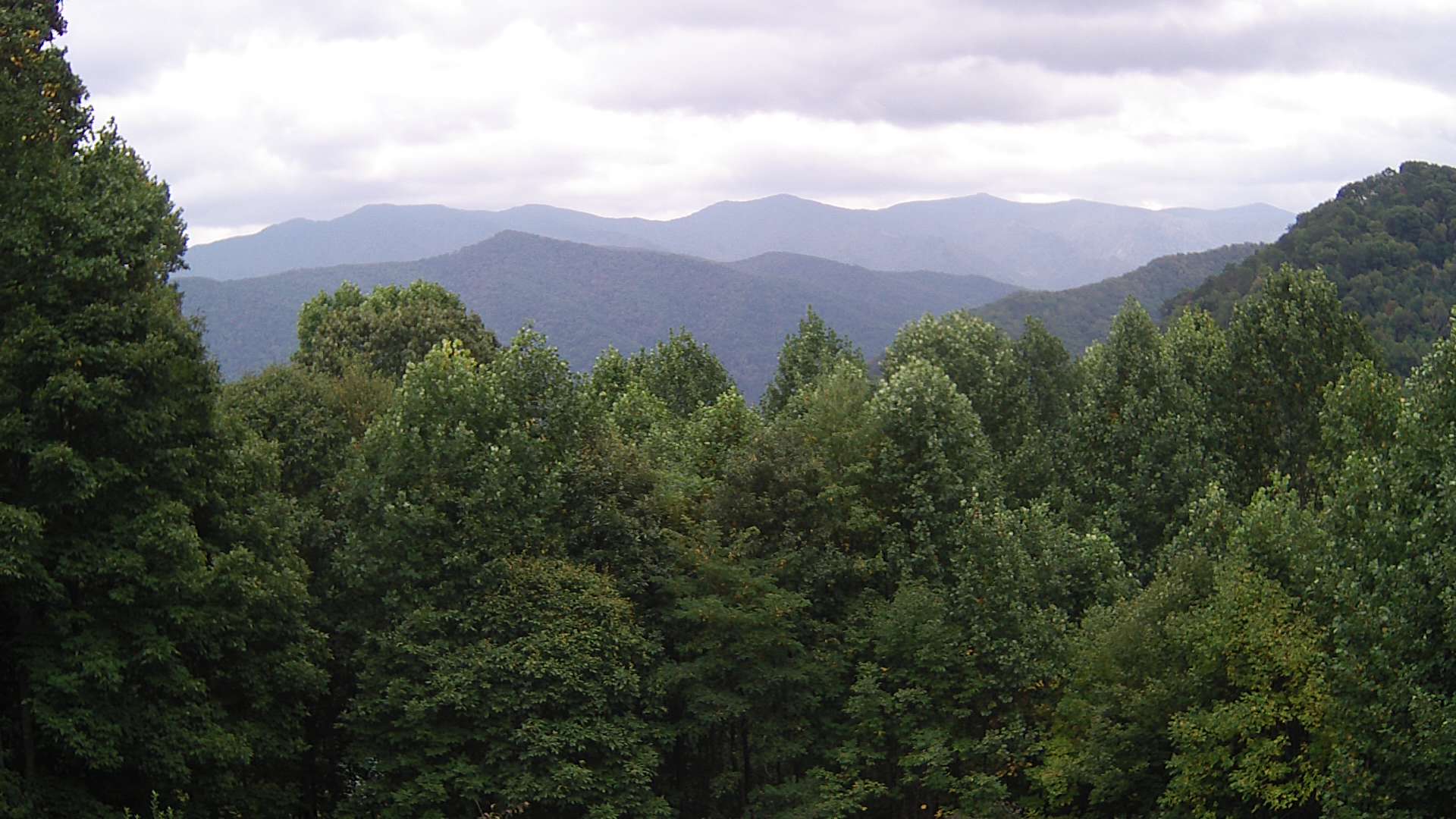 click for next image... slideshow image