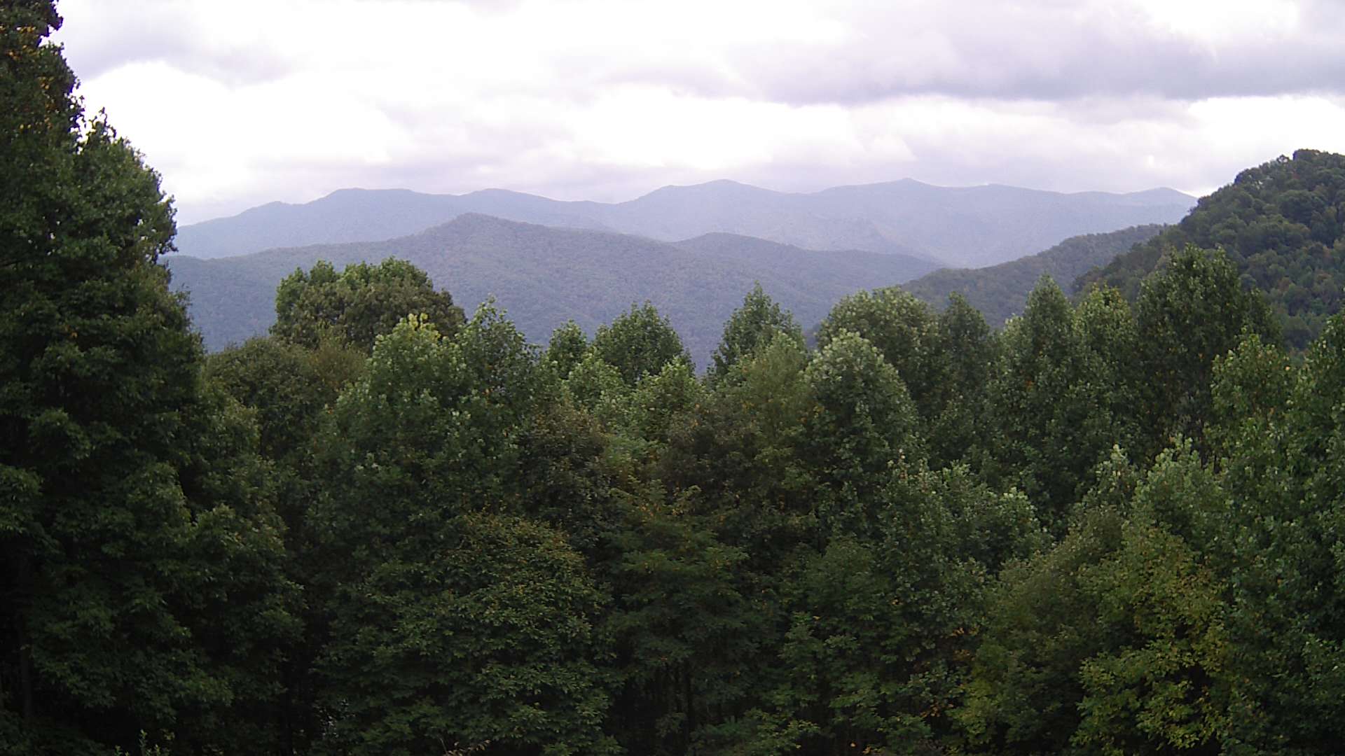 click for next image... slideshow image