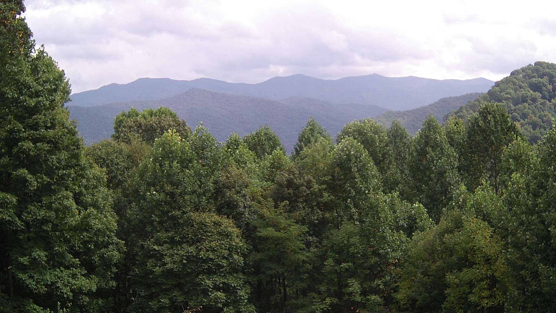 click for next image... slideshow image