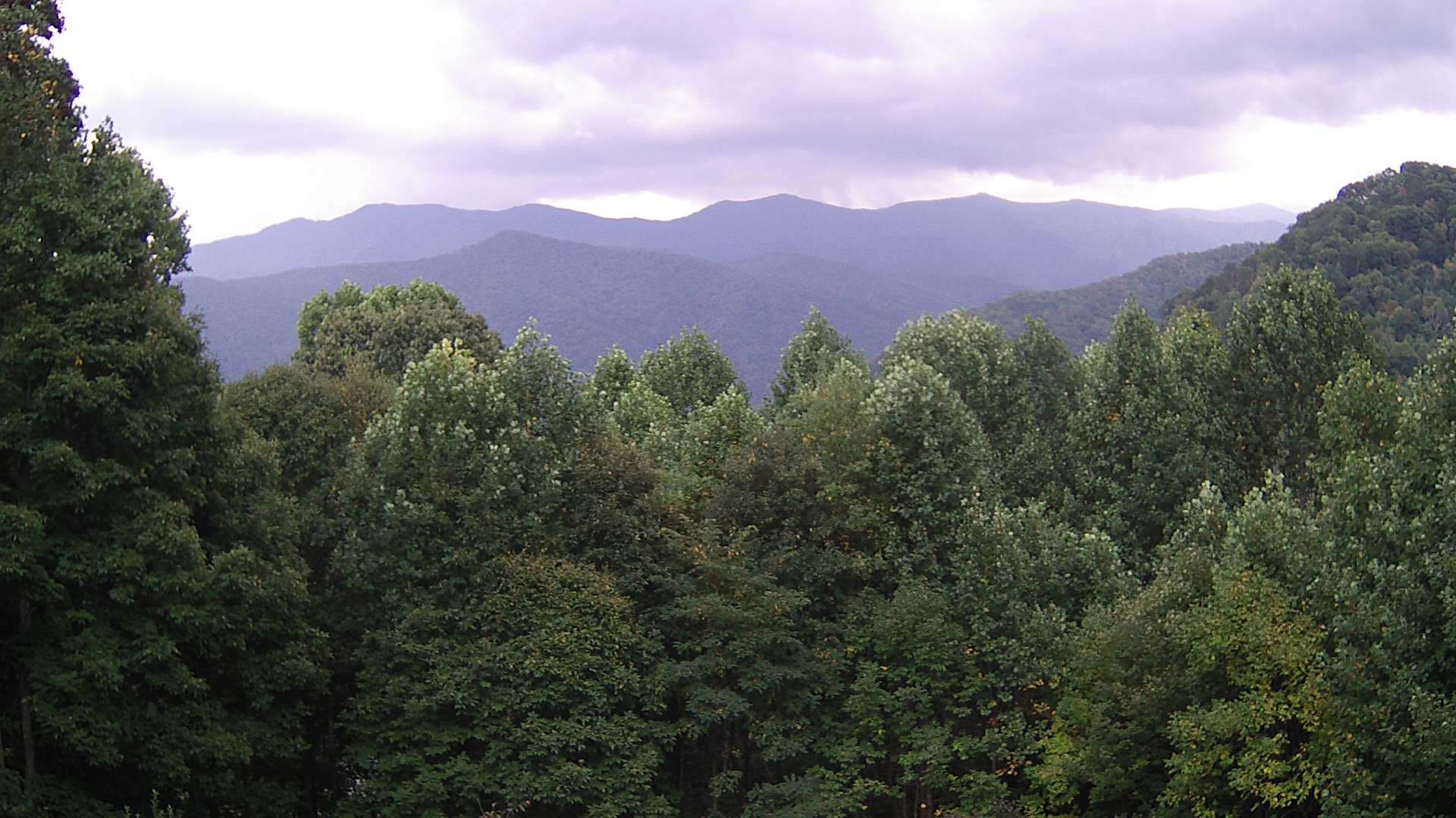 click for next image... slideshow image