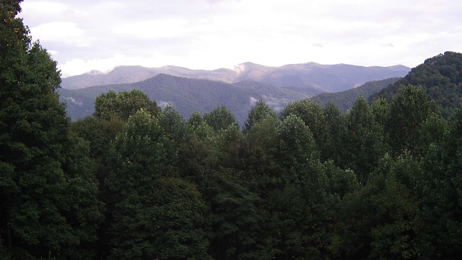 click for next image... slideshow image