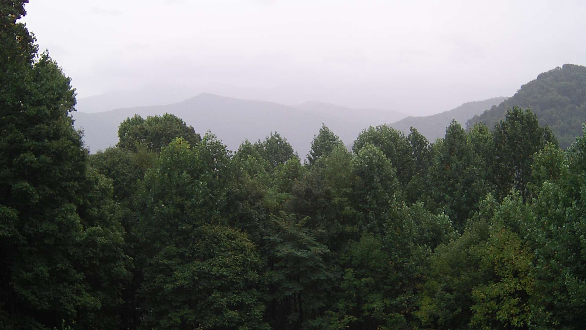 click for next image... slideshow image