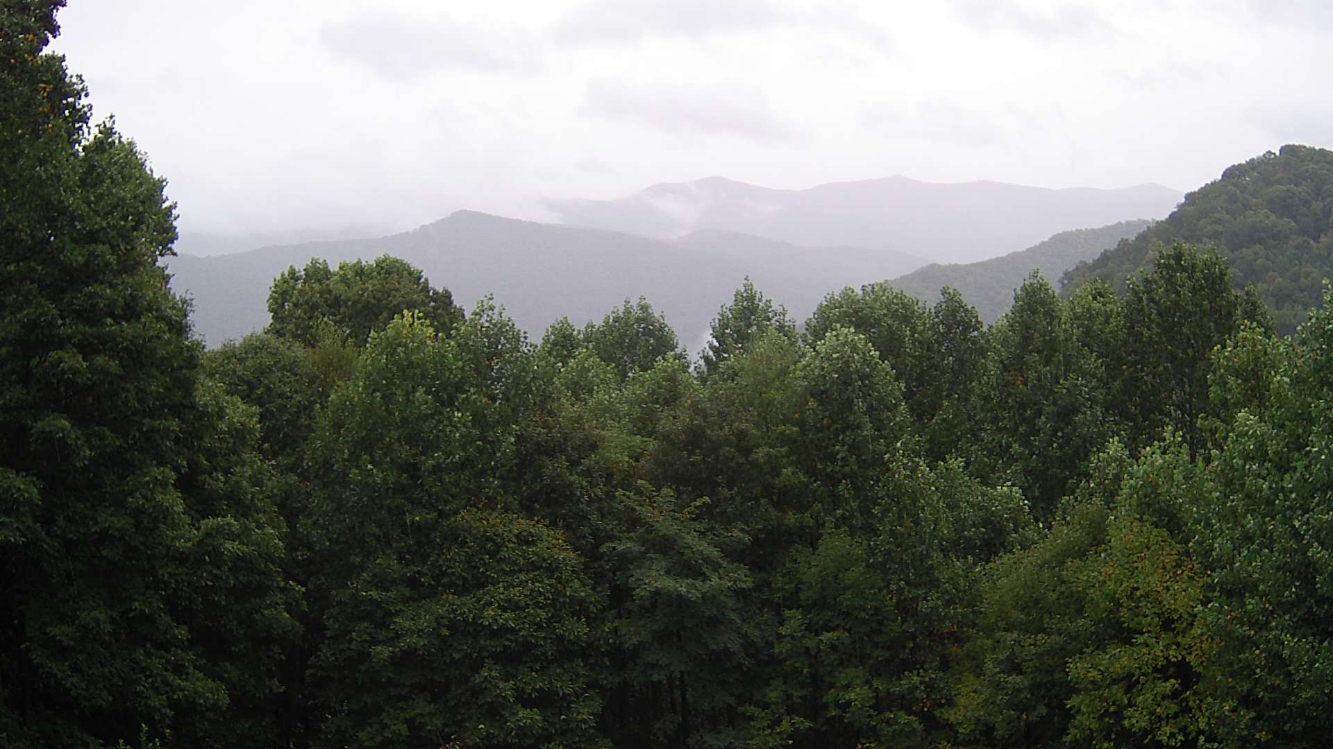 click for next image... slideshow image