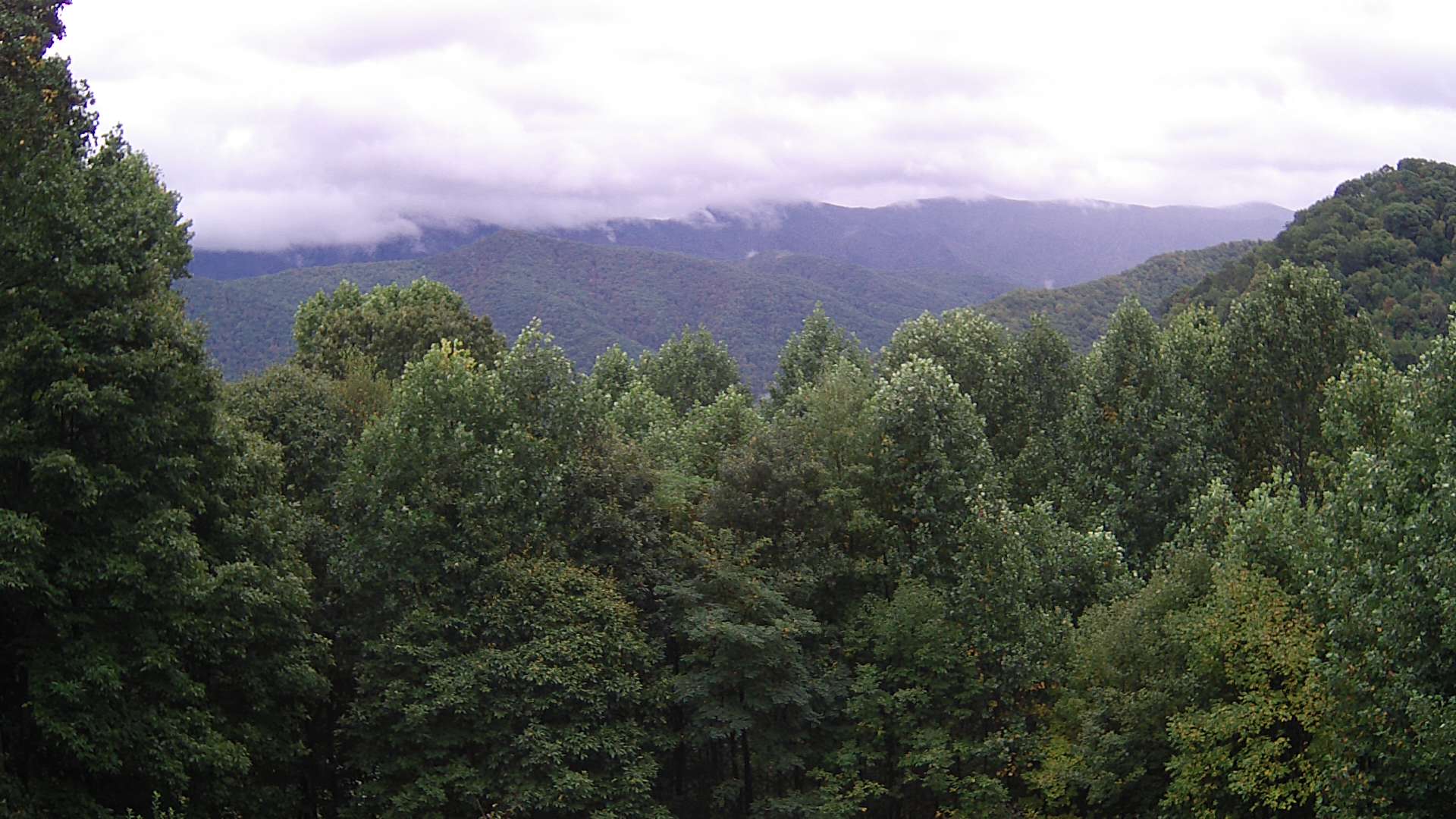 click for next image... slideshow image