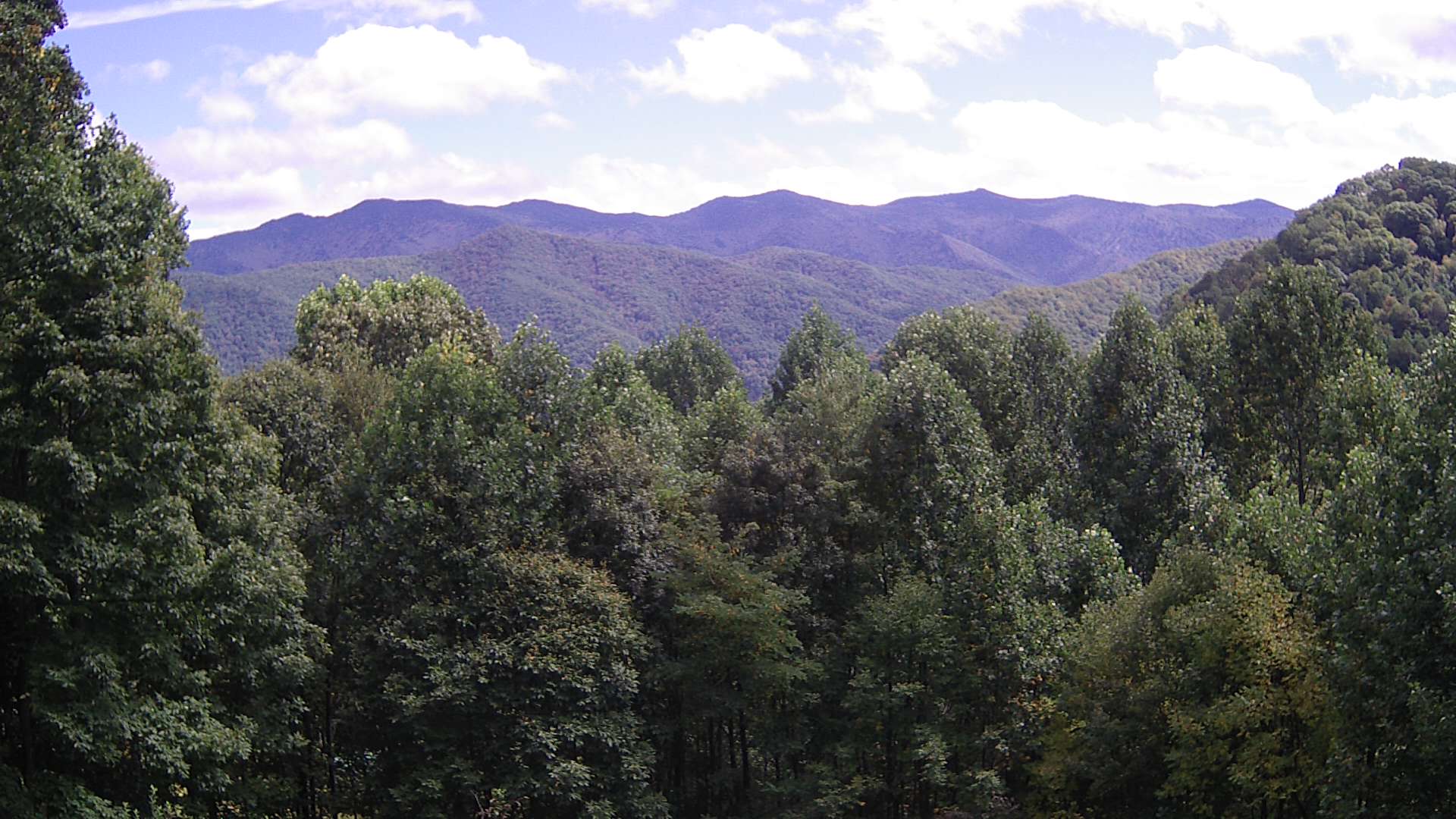 click for next image... slideshow image